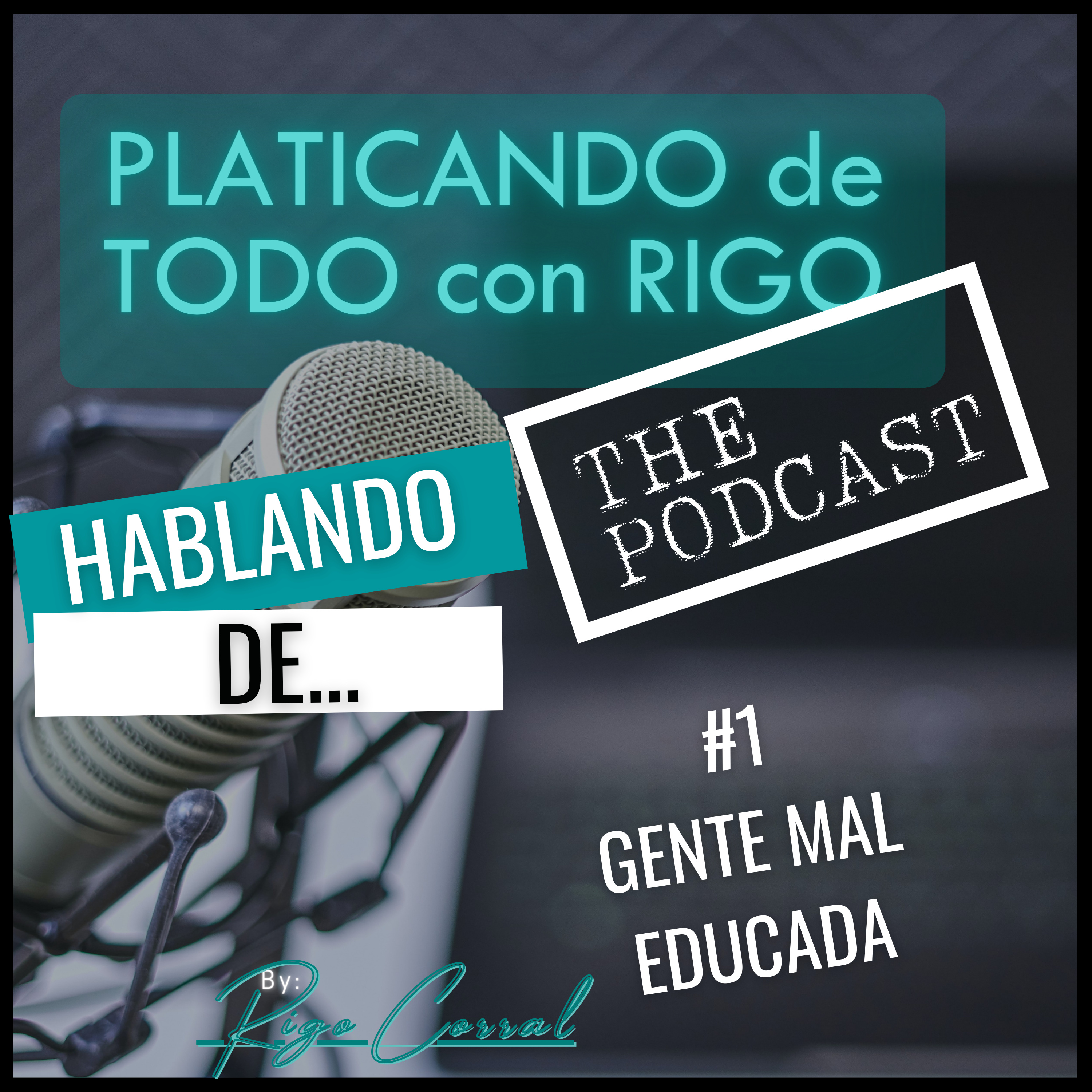 PLATICANDO DE TODO | RIGO