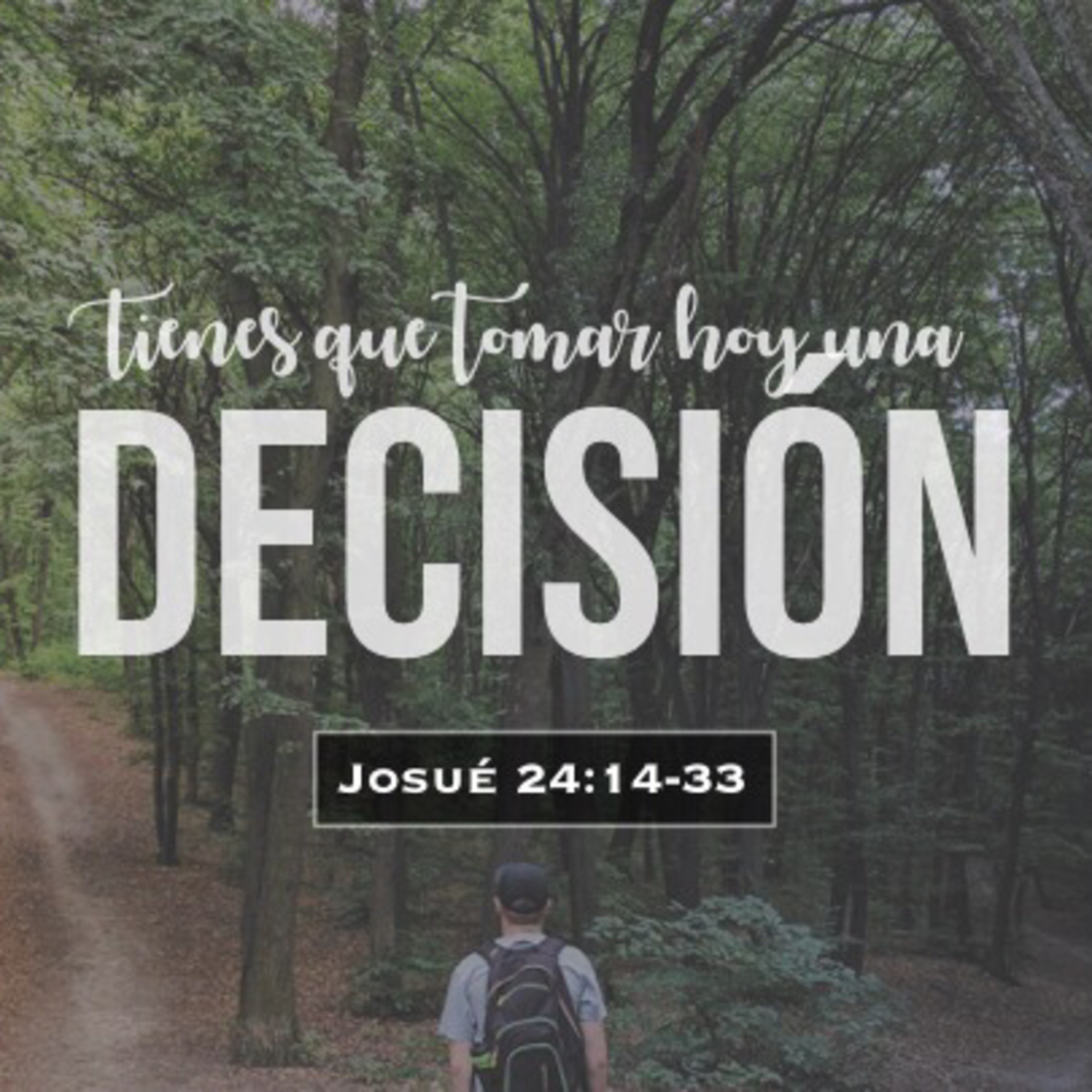 Tienes que tomar una decisión (Josué 24:14-29) episode artwork