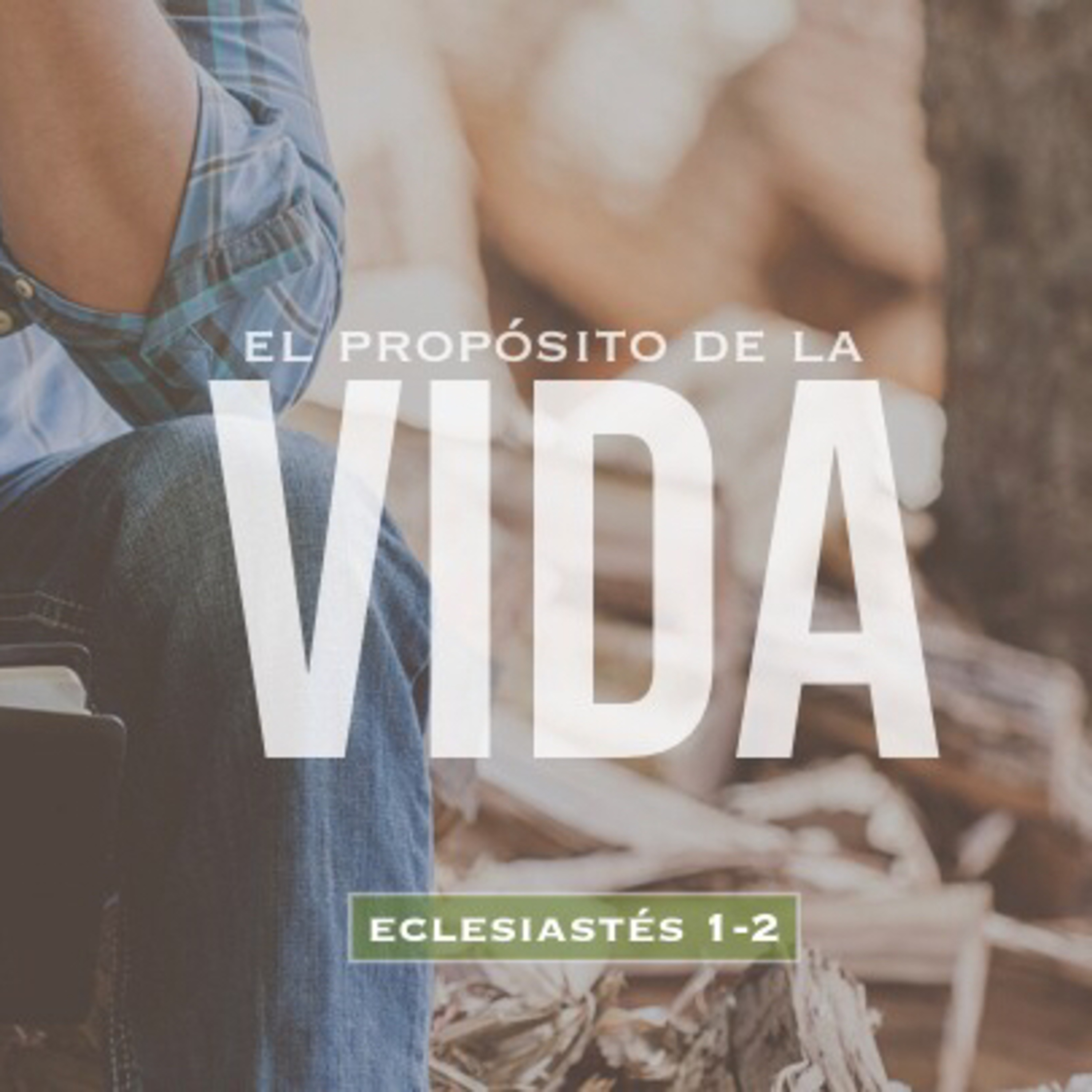 El propósito de la vida (Eclesiastés 1:12-2:11) episode artwork