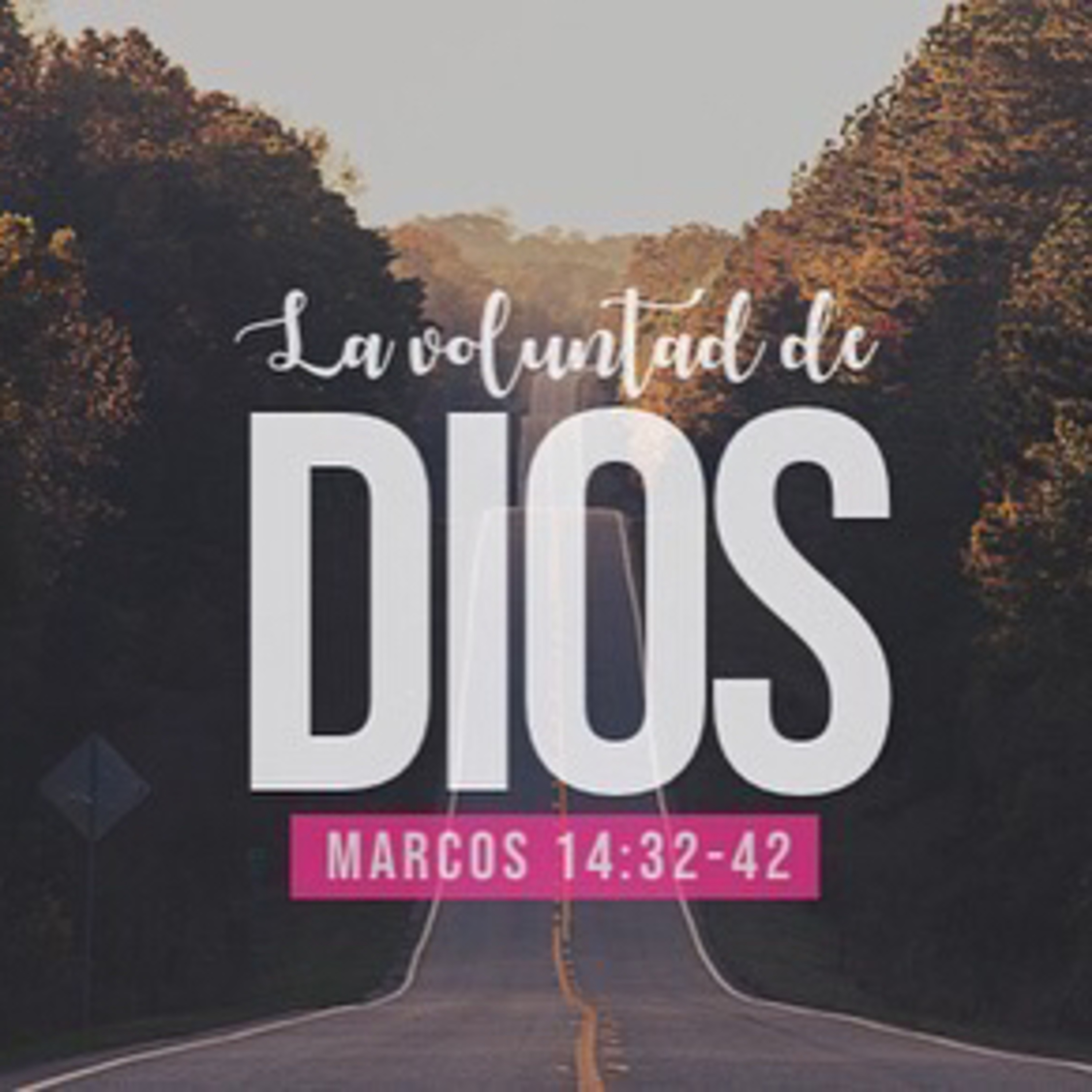 La voluntad De Dios (Marcos 14;32-42) episode artwork