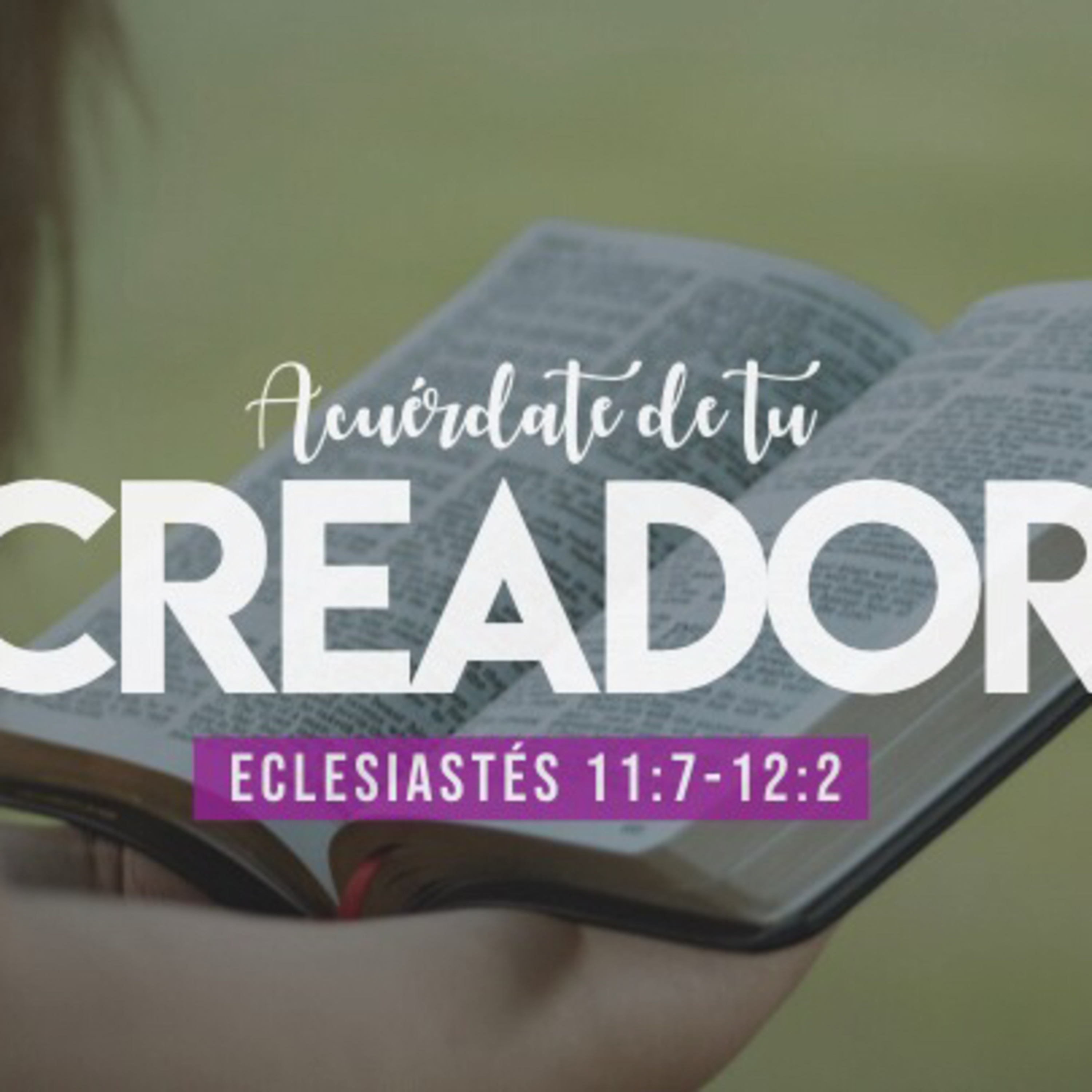 Acuérdate de tu Creador (Eclesiastés 11:9-12:1) episode artwork