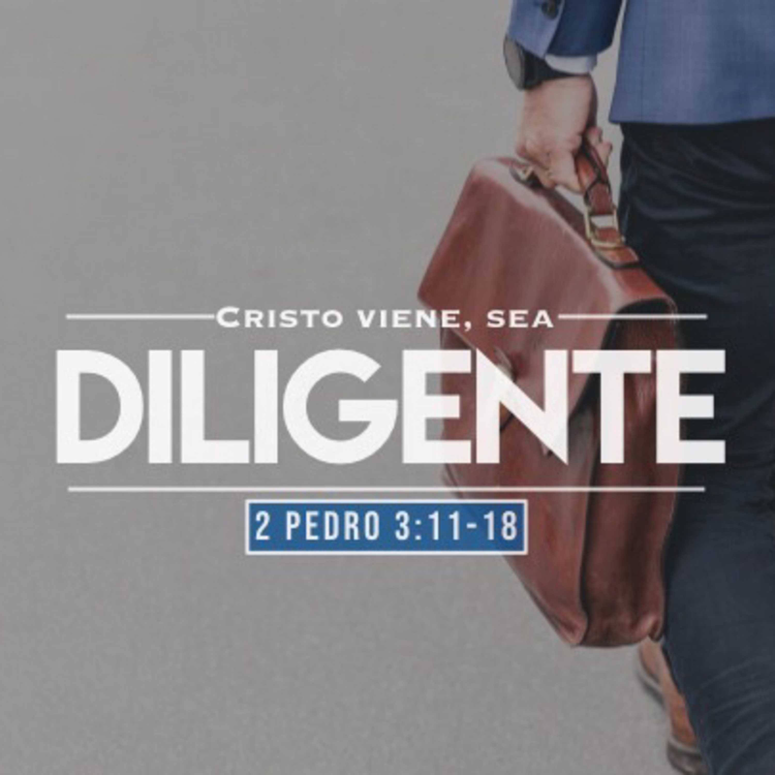 Sea Diligente (2 Pedro 3:11-18)  episode artwork