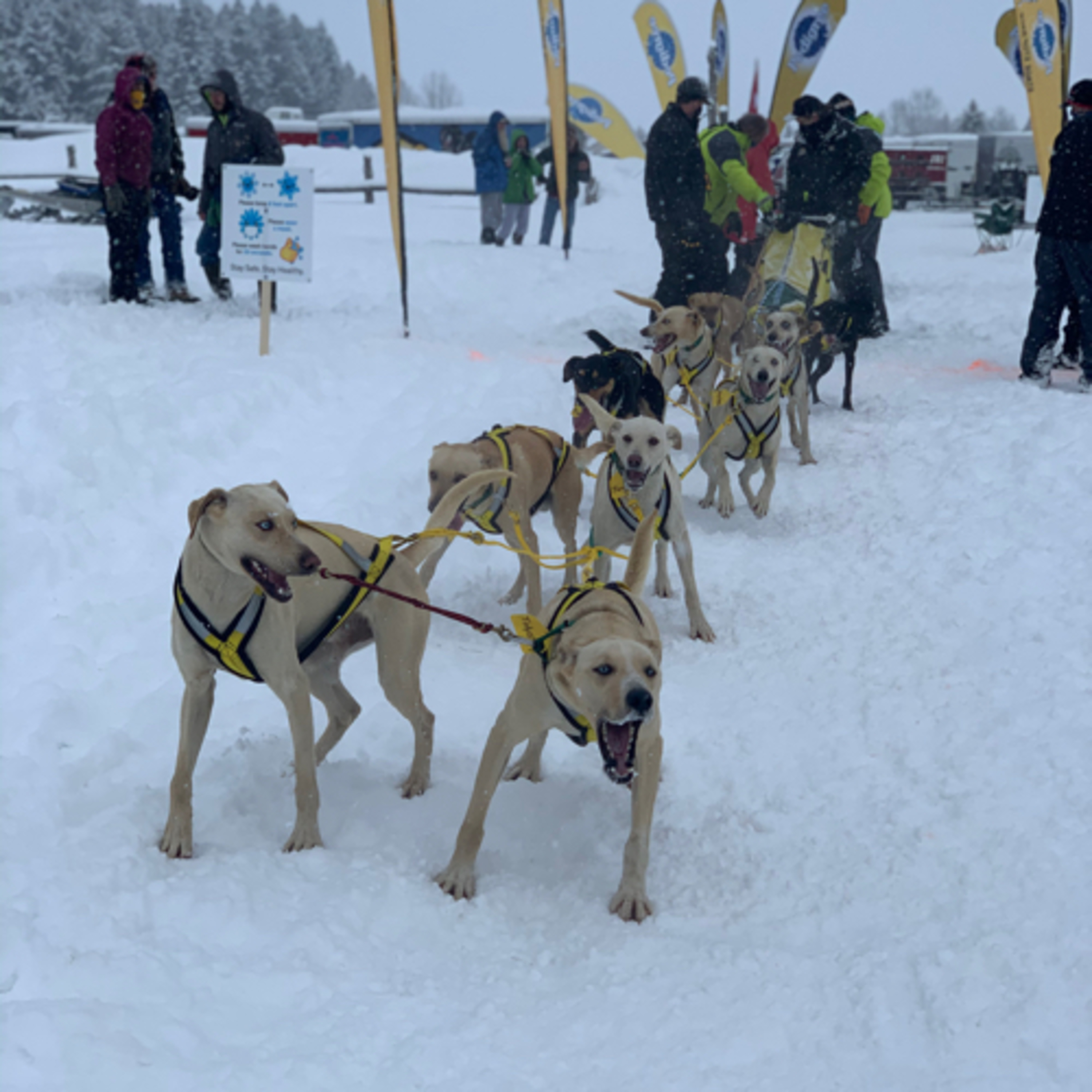 Day One: Alpine 