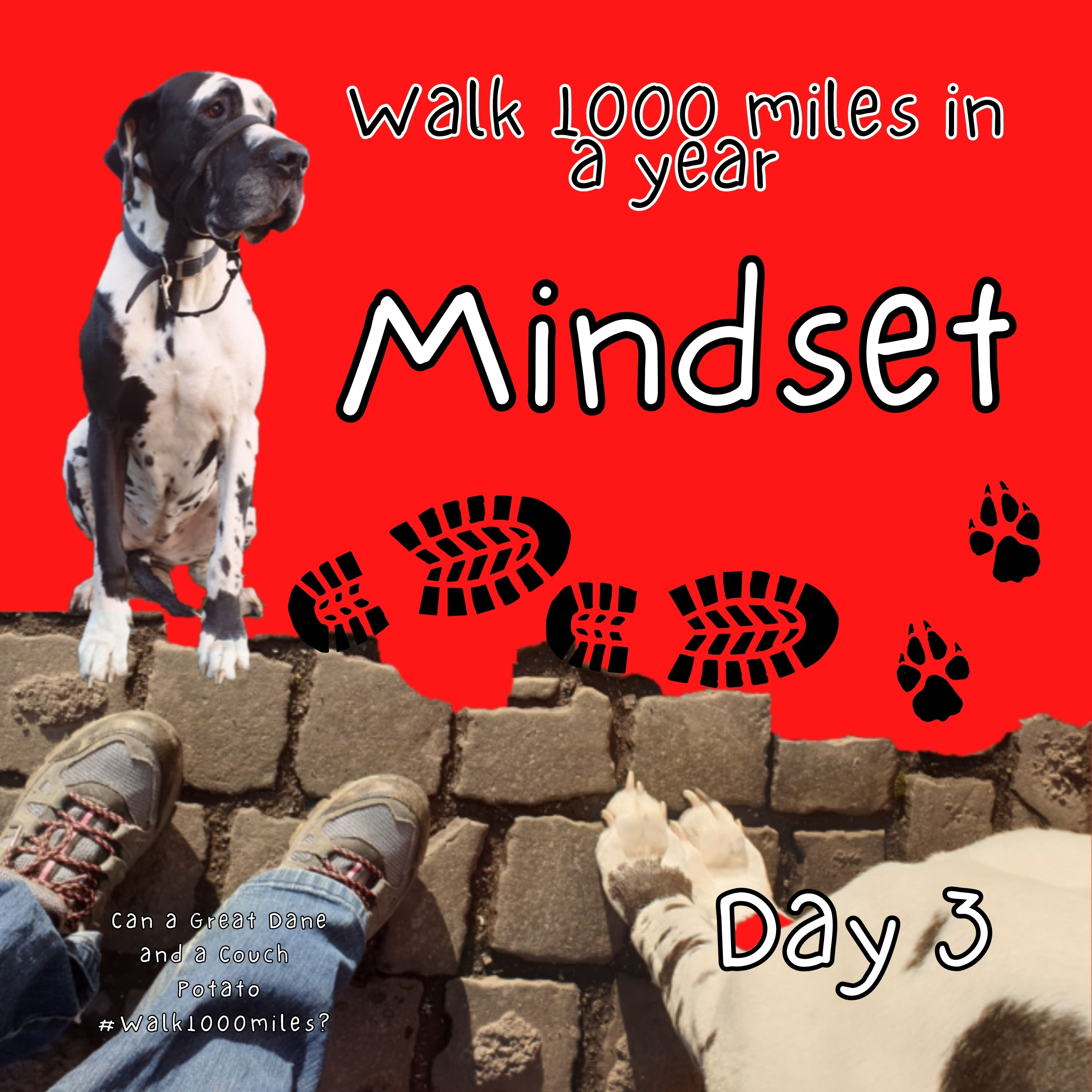 Walk 1000 miles a Year; Can a Great Dane and a Couch Potato #walk1000miles 2021?