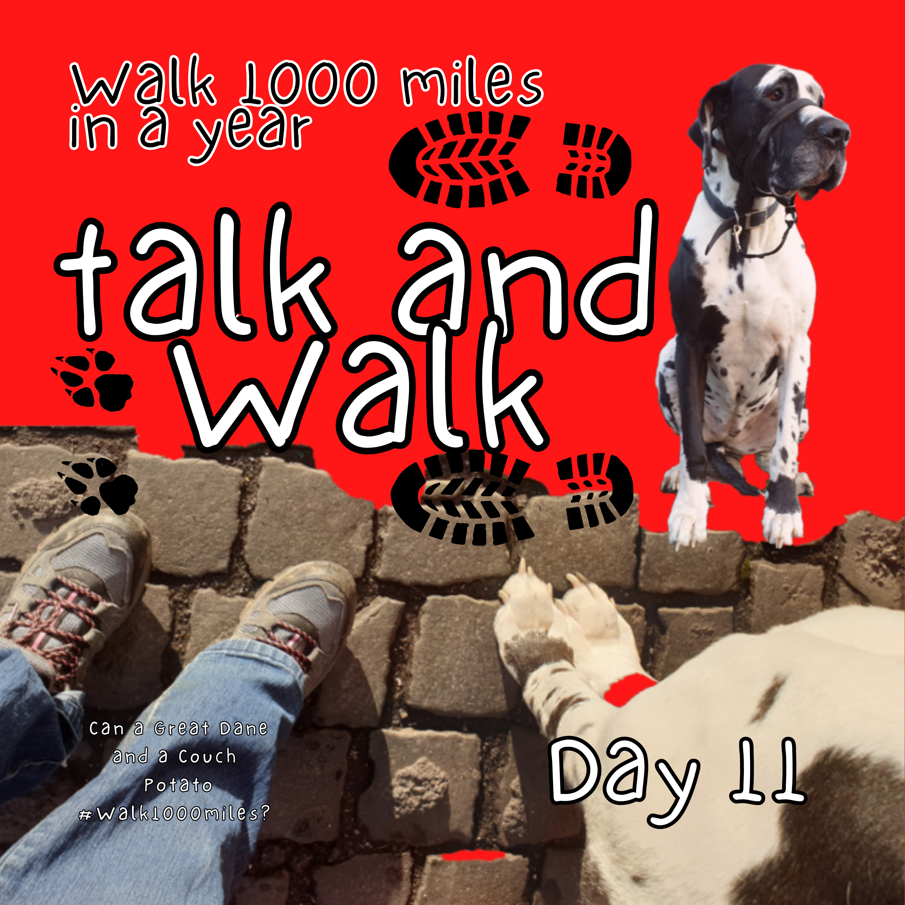 Walk 1000 miles a Year; Can a Great Dane and a Couch Potato #walk1000miles 2021?