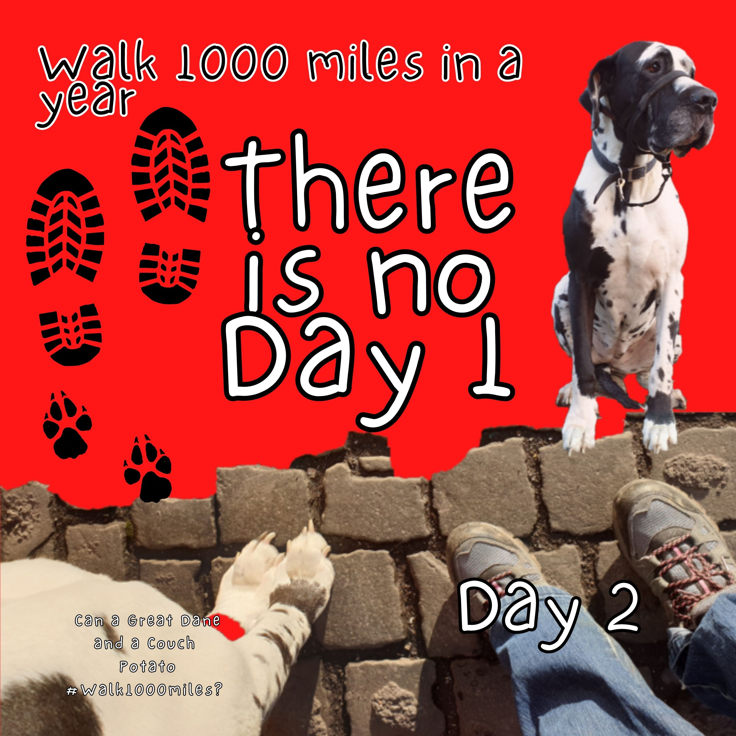 Walk 1000 miles a Year; Can a Great Dane and a Couch Potato #walk1000miles 2021?