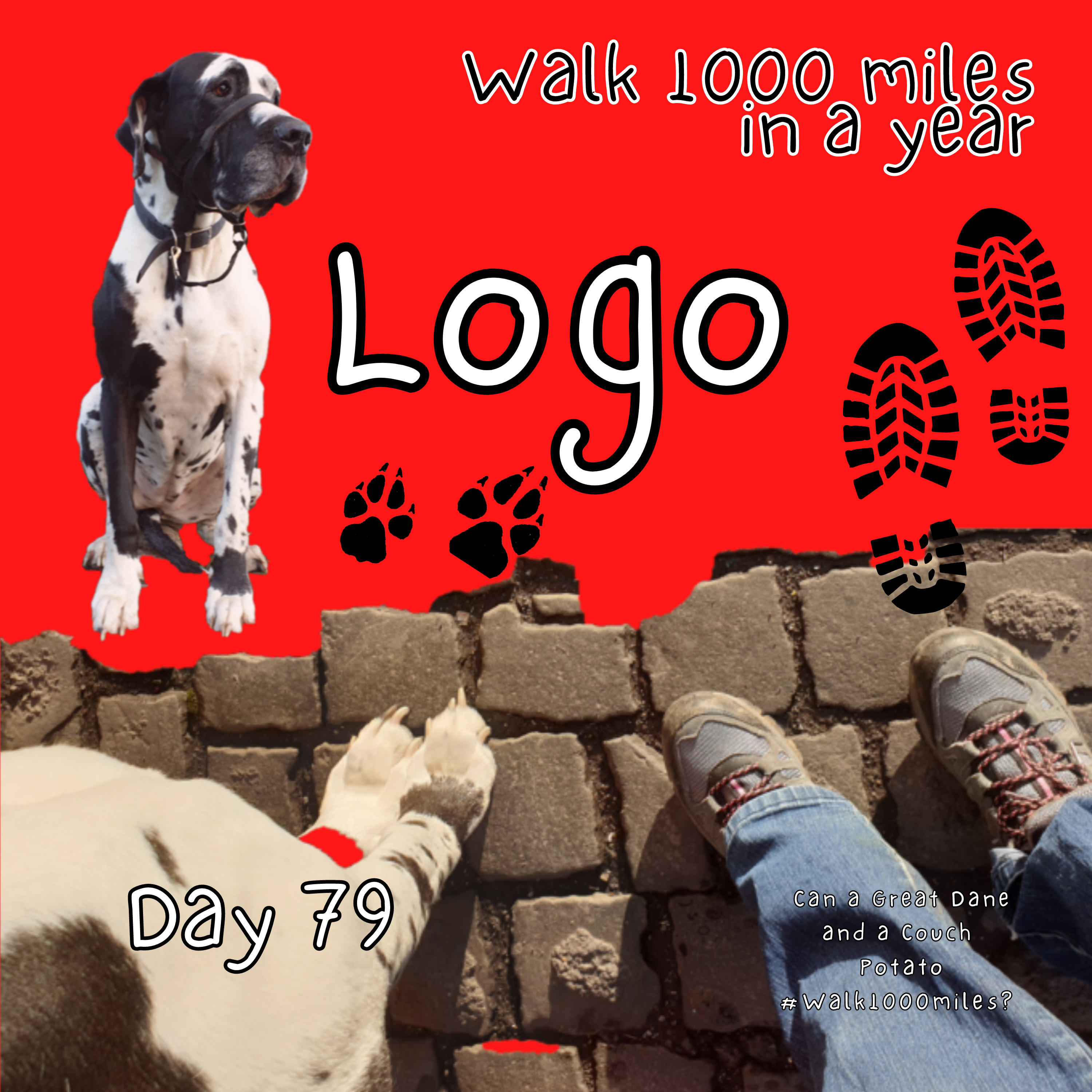 Walk 1000 miles a Year; Can a Great Dane and a Couch Potato #walk1000miles 2021?