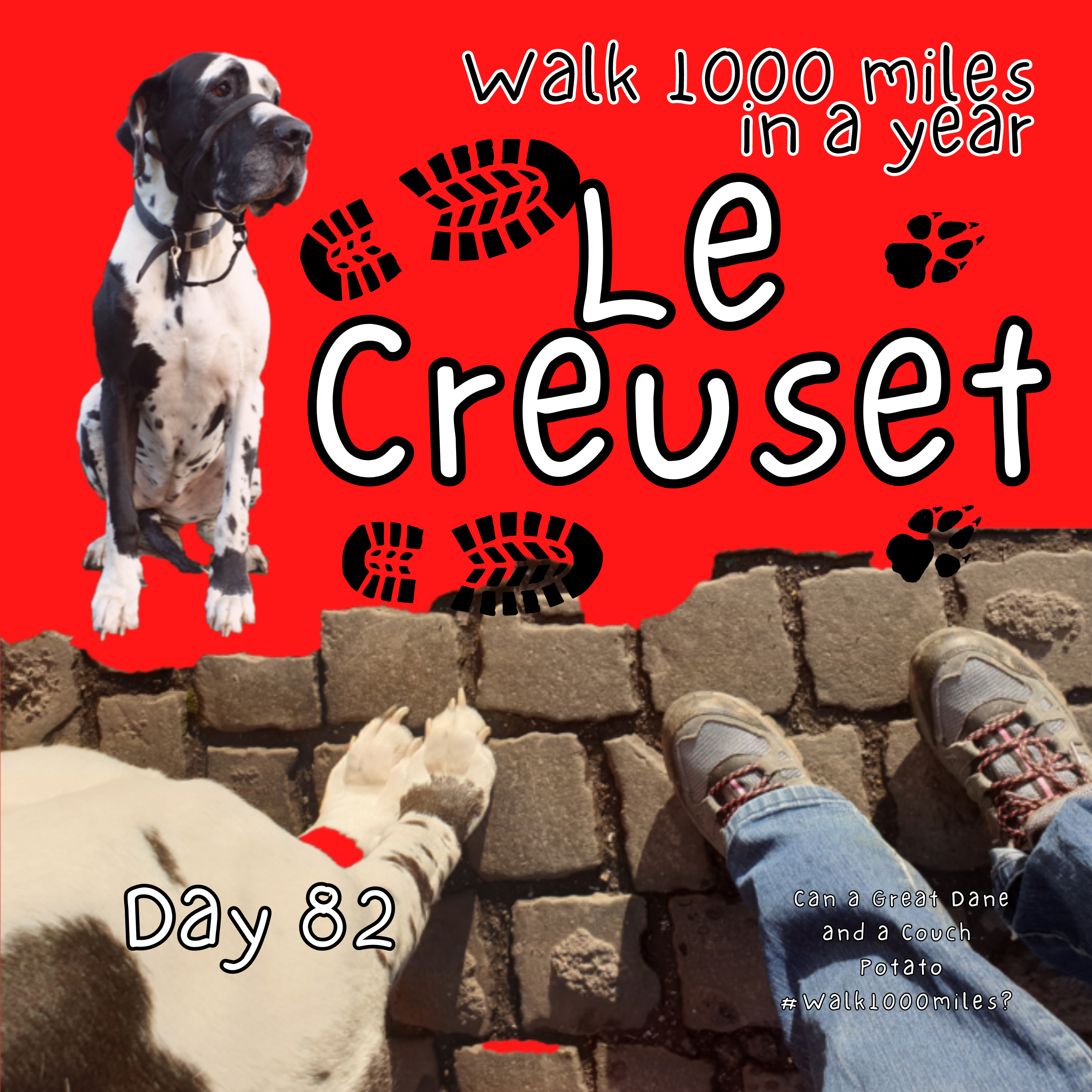 Walk 1000 miles a Year; Can a Great Dane and a Couch Potato #walk1000miles 2021?