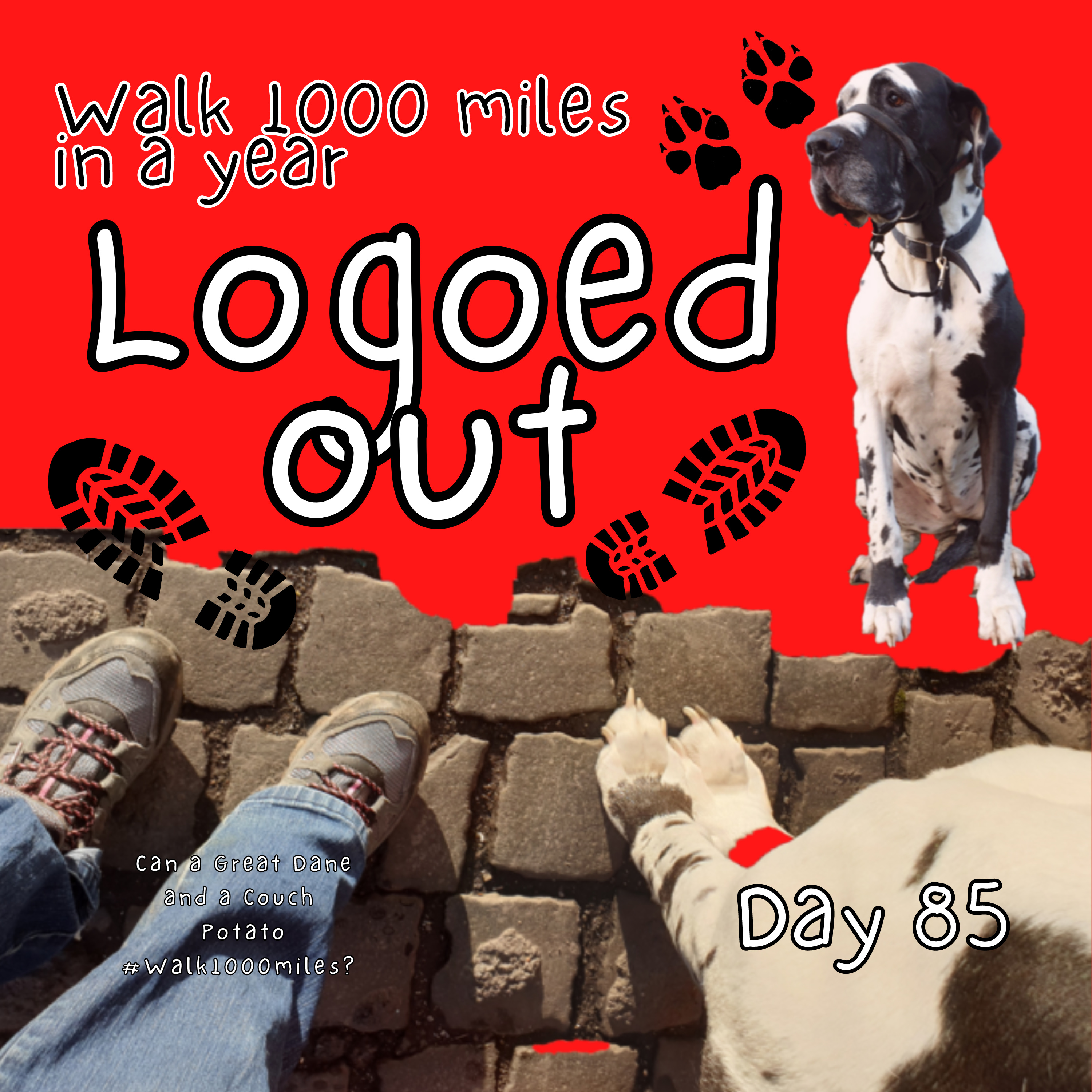 Walk 1000 miles a Year; Can a Great Dane and a Couch Potato #walk1000miles 2021?