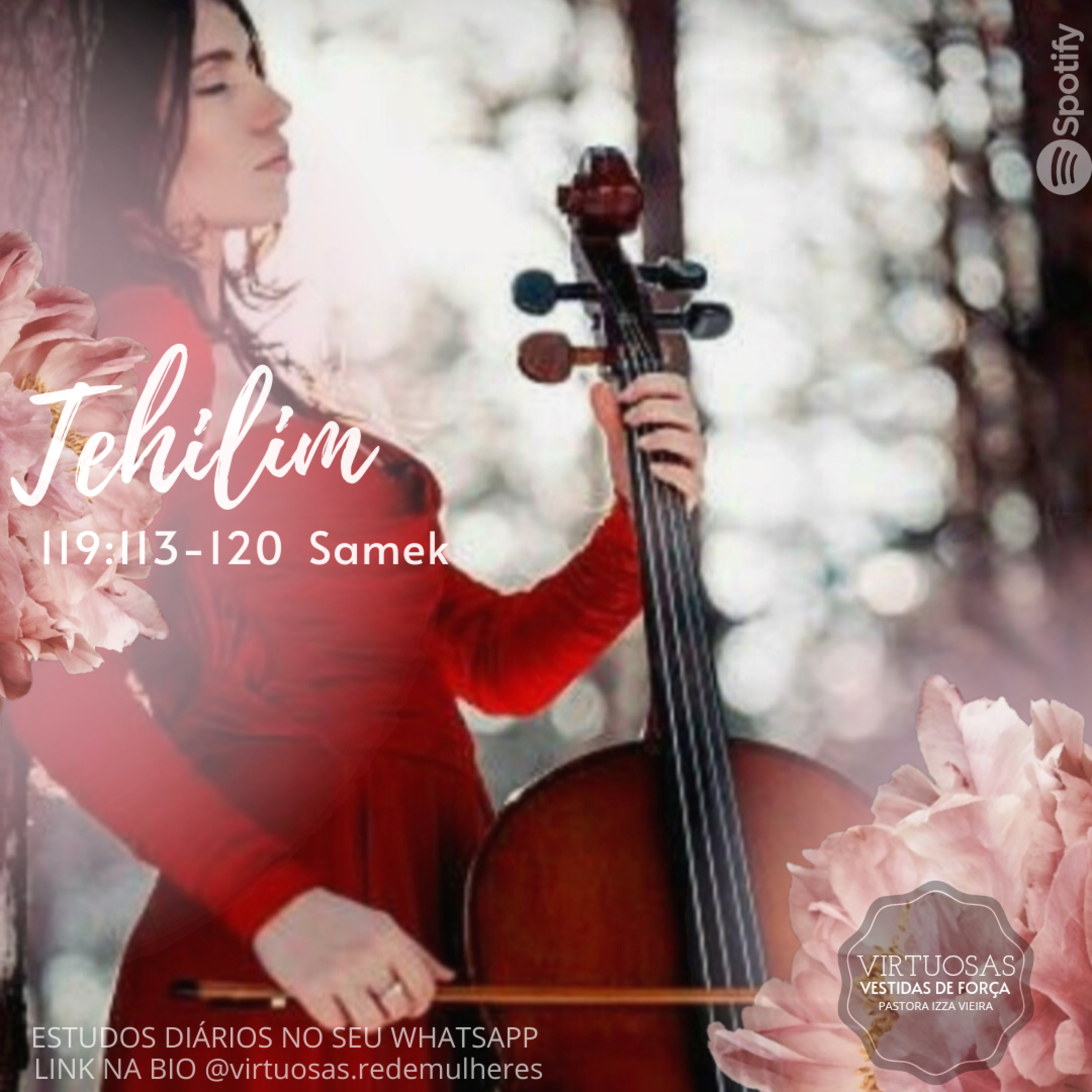 SALMO 119.15 113-120 Samek episode artwork