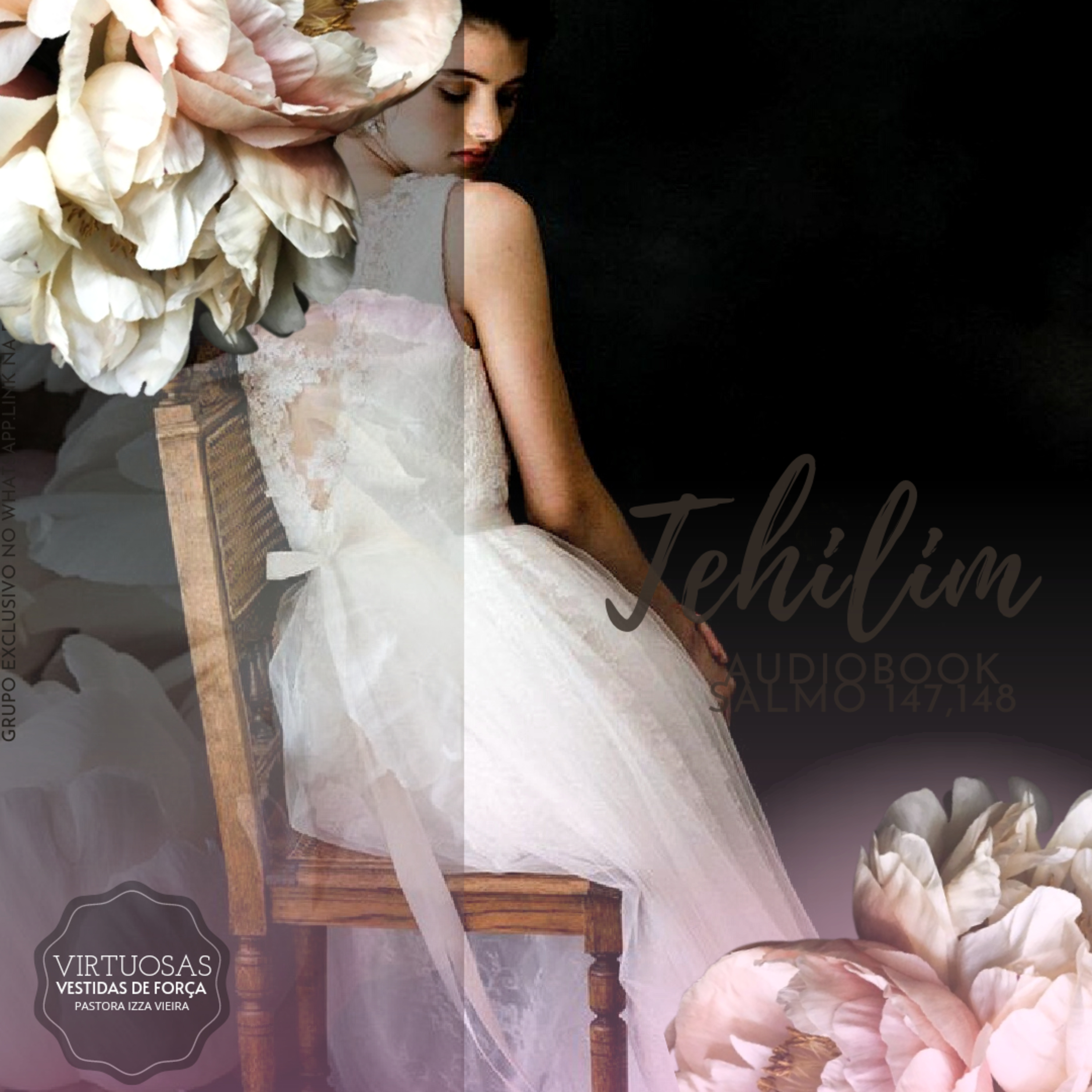 SALMO 148 episode artwork