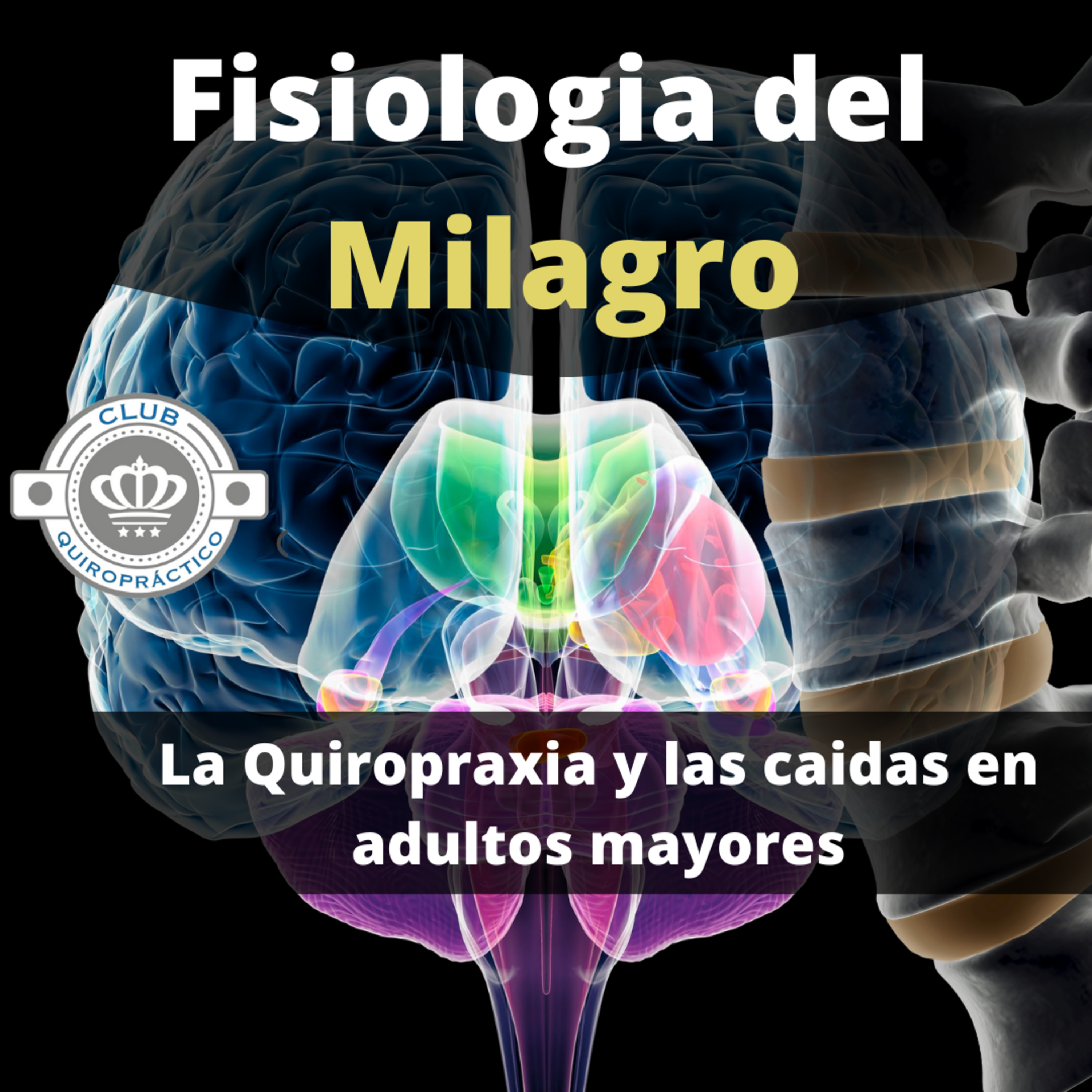 👉Club Quiropractico.