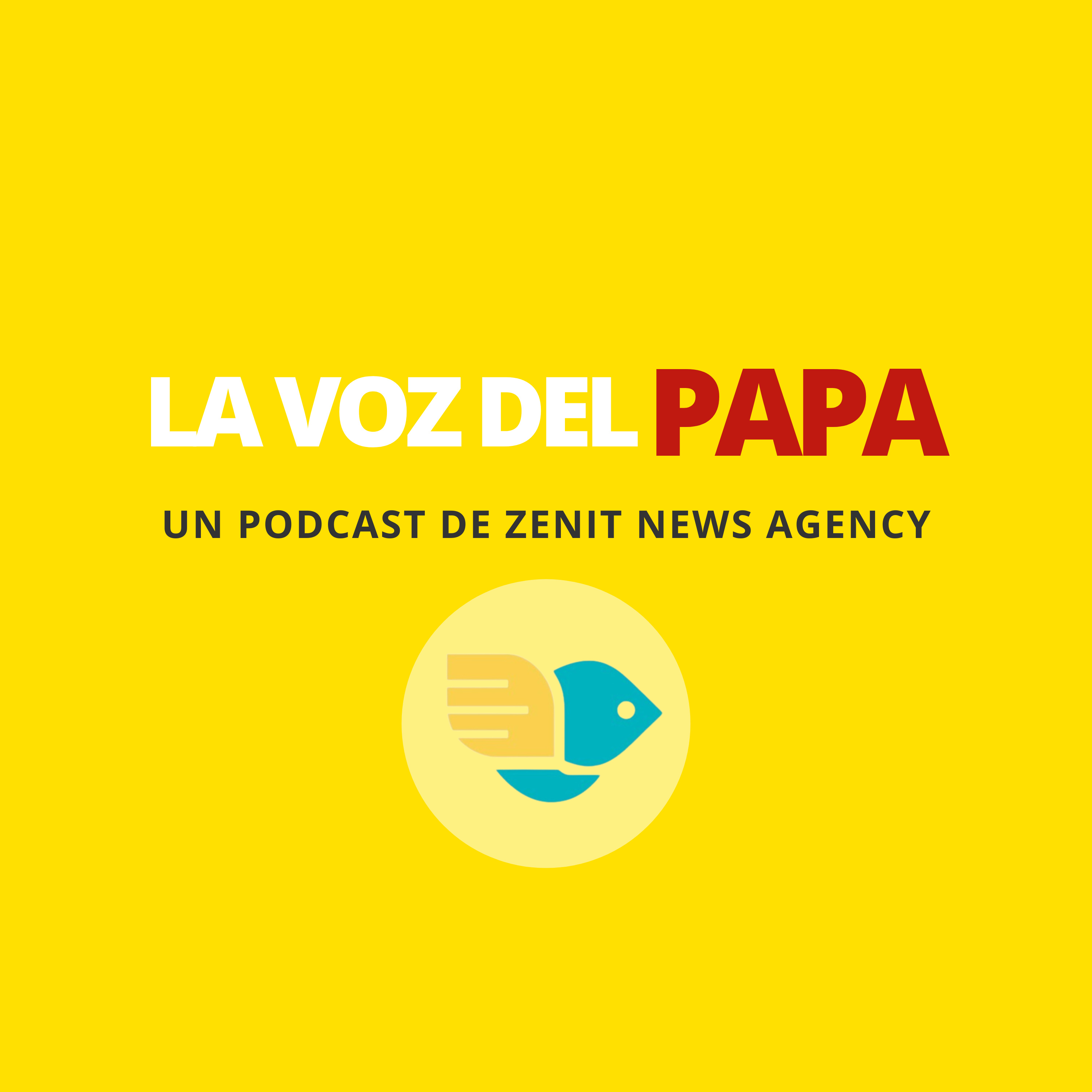 La voz del Papa (3): ¿Cómo saber si estamos buscando el bien verdadero? (Catequesis del 30 de noviembre 2022) episode artwork