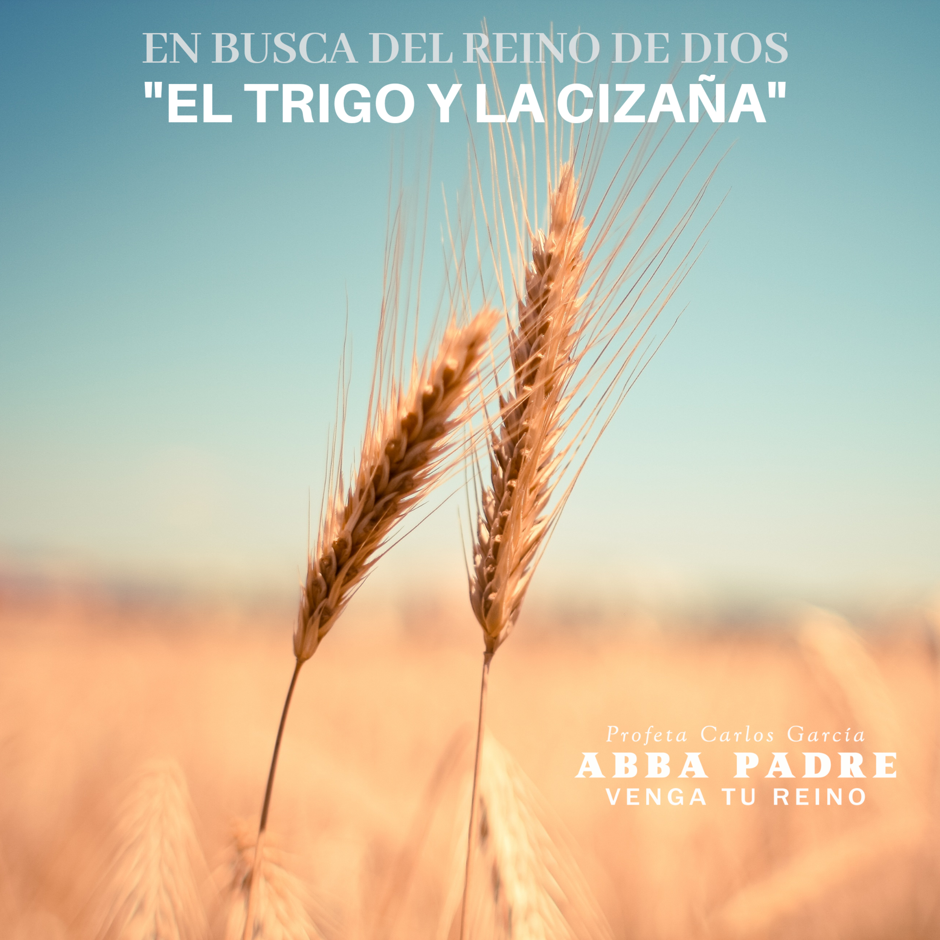Parábola "El Trigo y la Cizaña" | En Busca Del Reino | Episodio 3 episode artwork