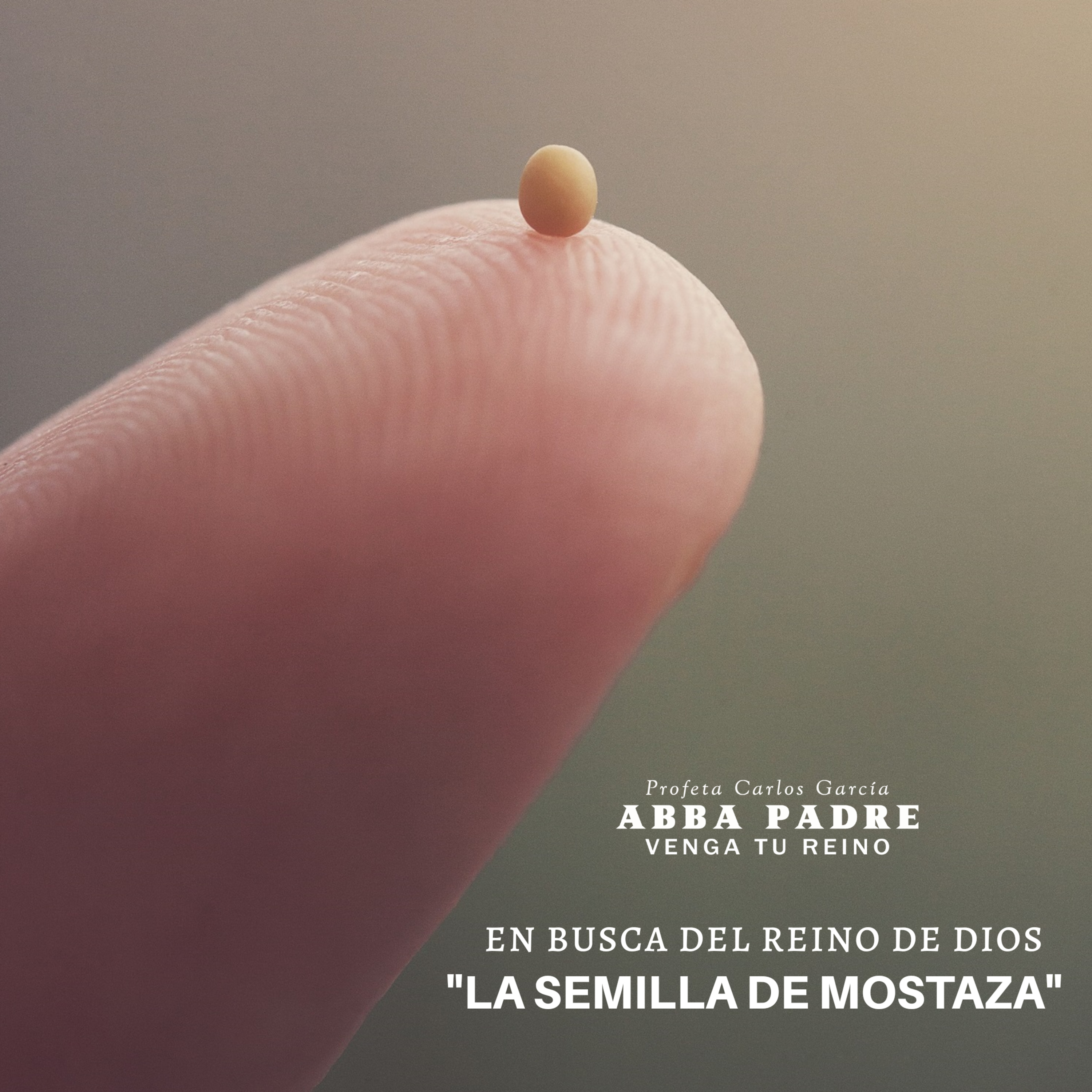 Parábola "La Semilla de Mostaza" Parte 1 | En Busca Del Reino | Episodio 4 episode artwork