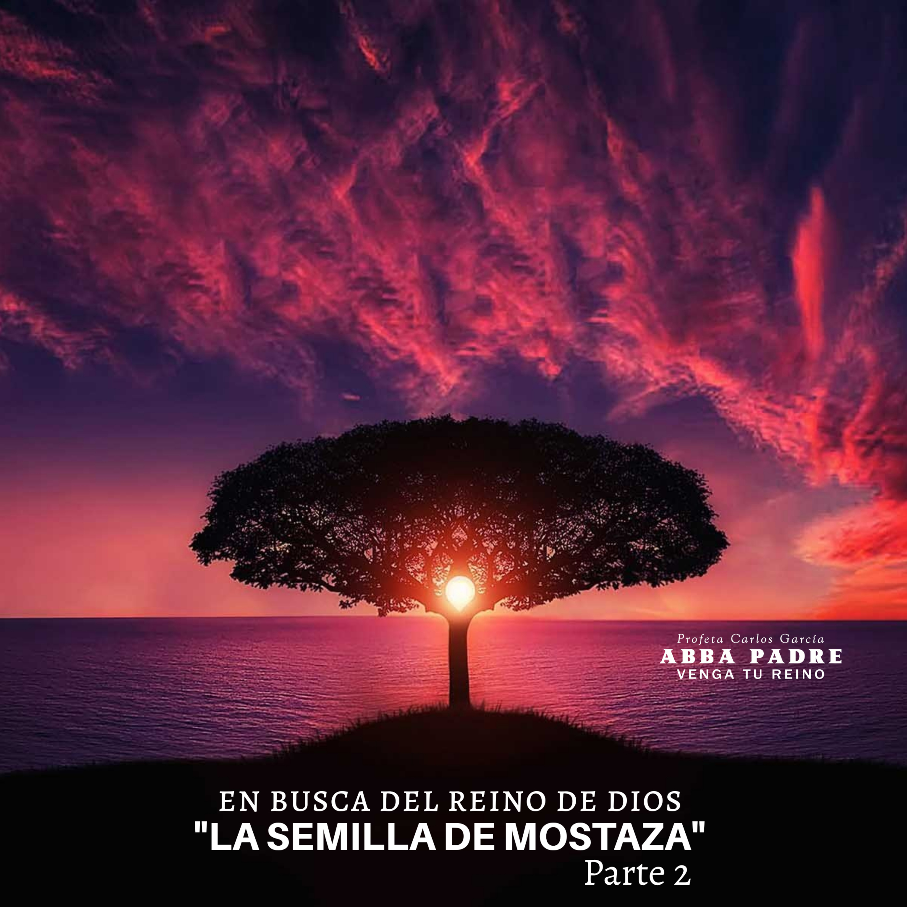 Parábola "La Semilla de Mostaza" Parte 2 | En Busca Del Reino | Episodio 5 episode artwork
