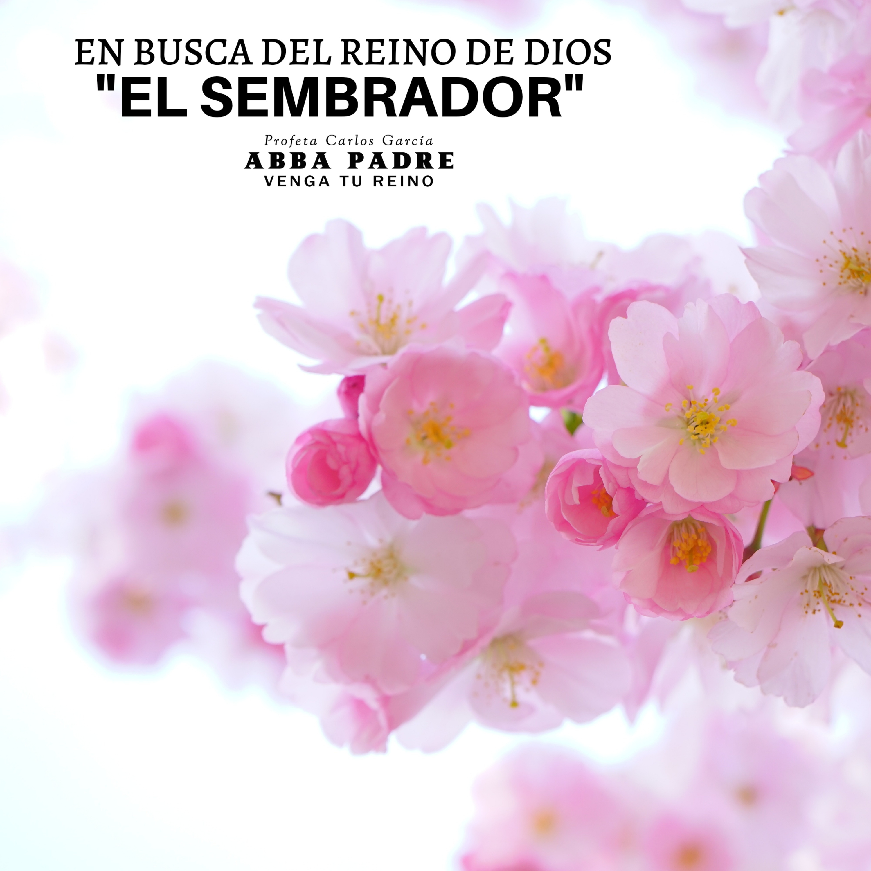 Ministerios Abba Padre