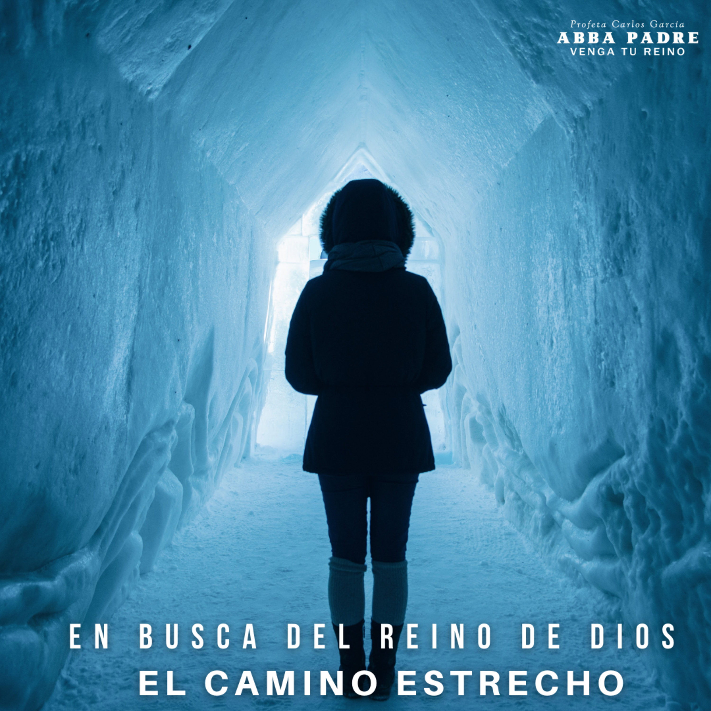 Parábola del Camino Estrecho | En busca del Reino de Dios| Episodio 11 episode artwork
