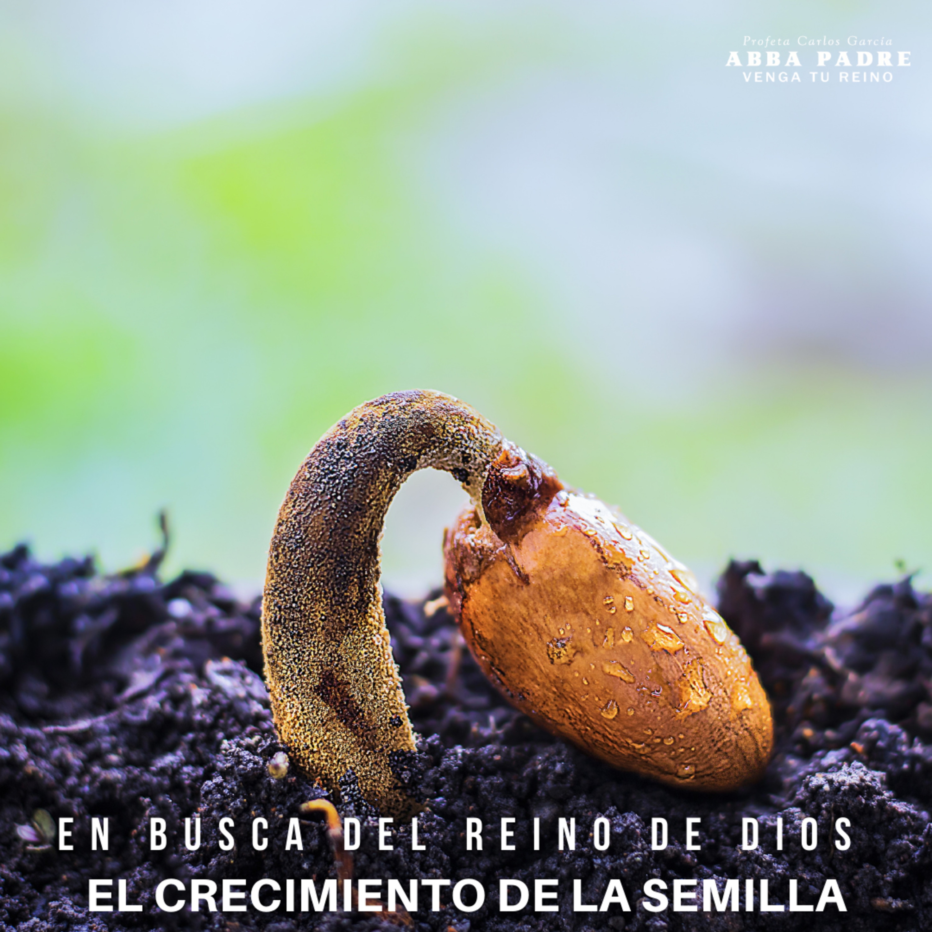 Parábola del Crecimiento de la Semilla | En busca del Reino | Episodio 14 episode artwork