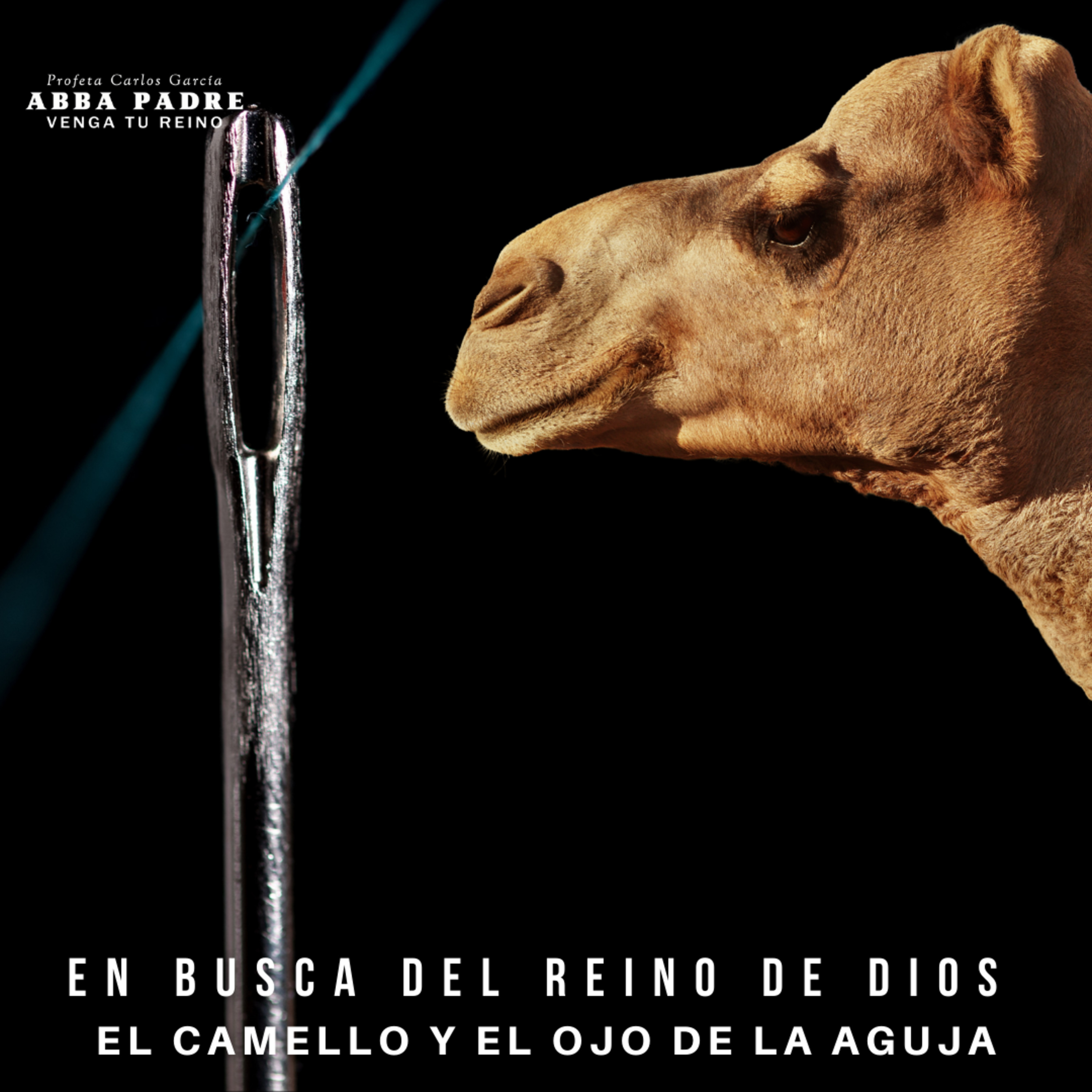 Parábola El Camello y el Ojo de la Aguja | En busca del Reino de Dios | Episodio 23 episode artwork