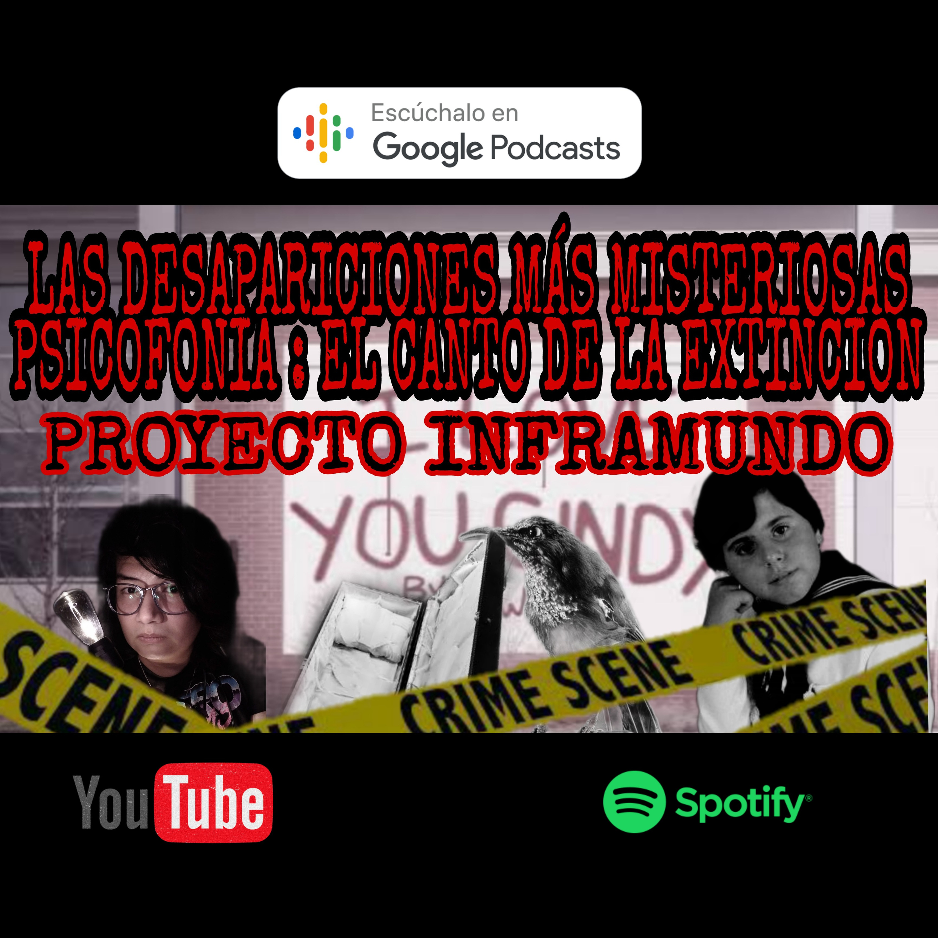 PROYECTO INFRAMUNDO /LAS DESAPARICIONES MAS MISTERIOSAS, PSICOFONIA:EL SONIDO DE LA EXTINCIÓN