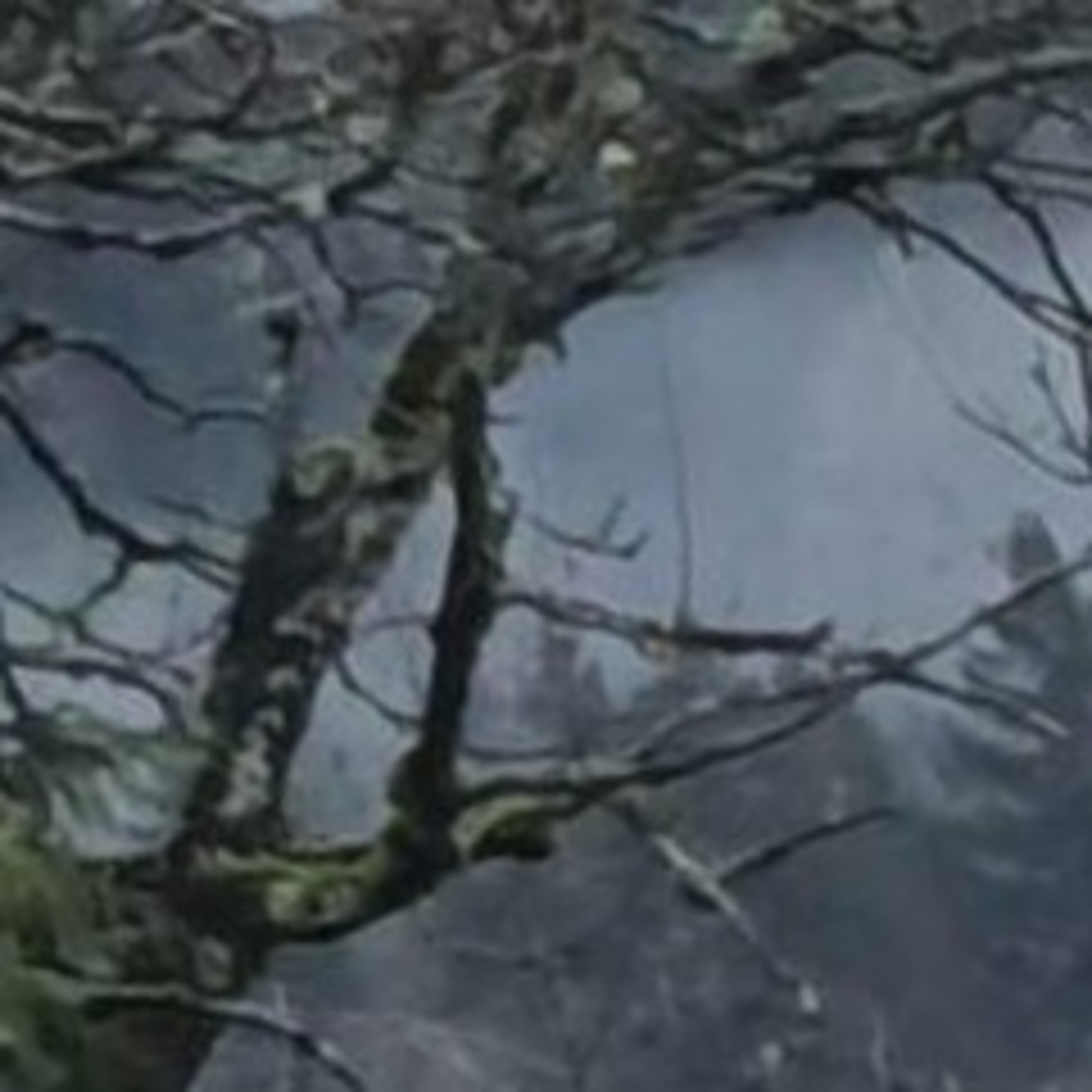 When i Know Such Things episode artwork