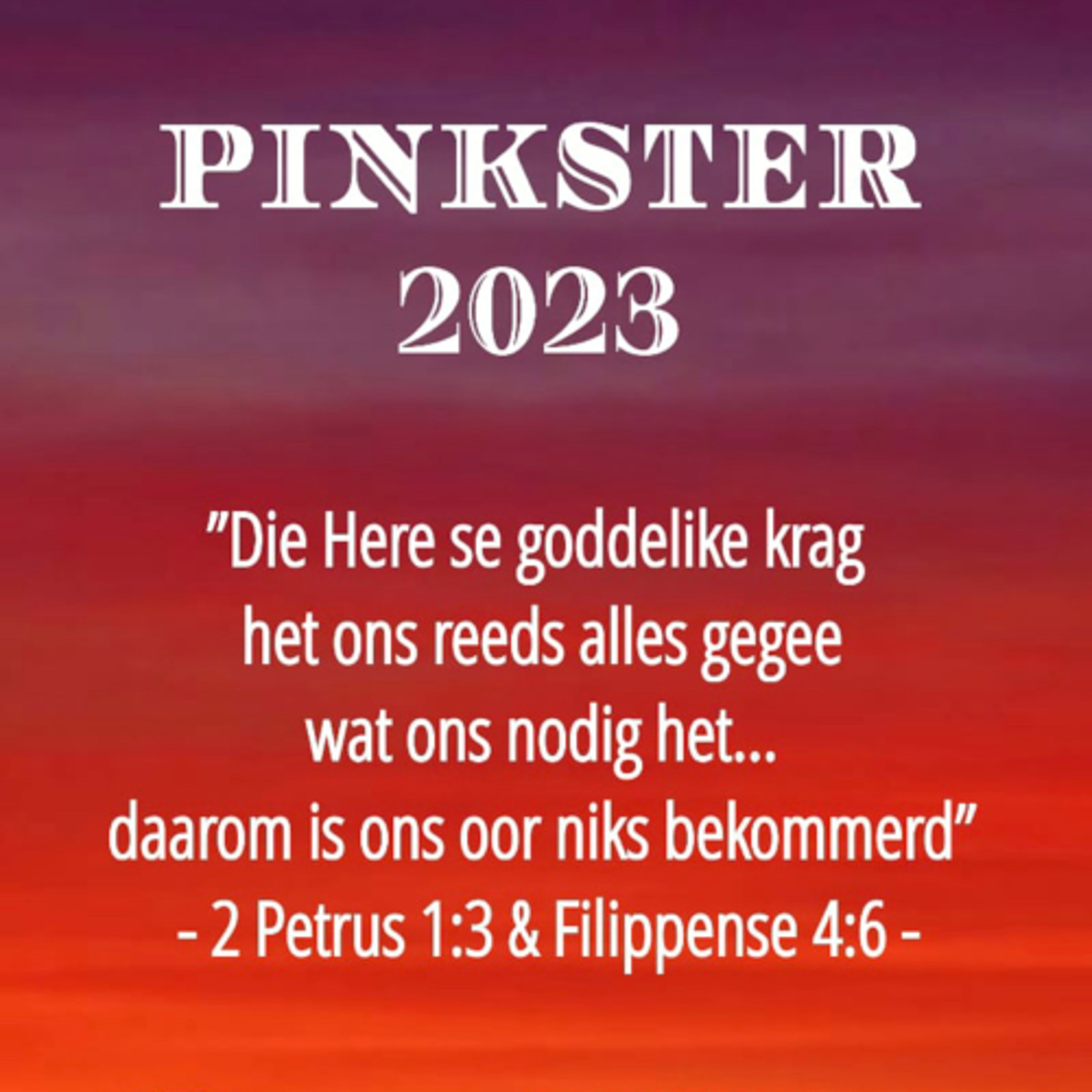 Pinkster Biduur  episode artwork