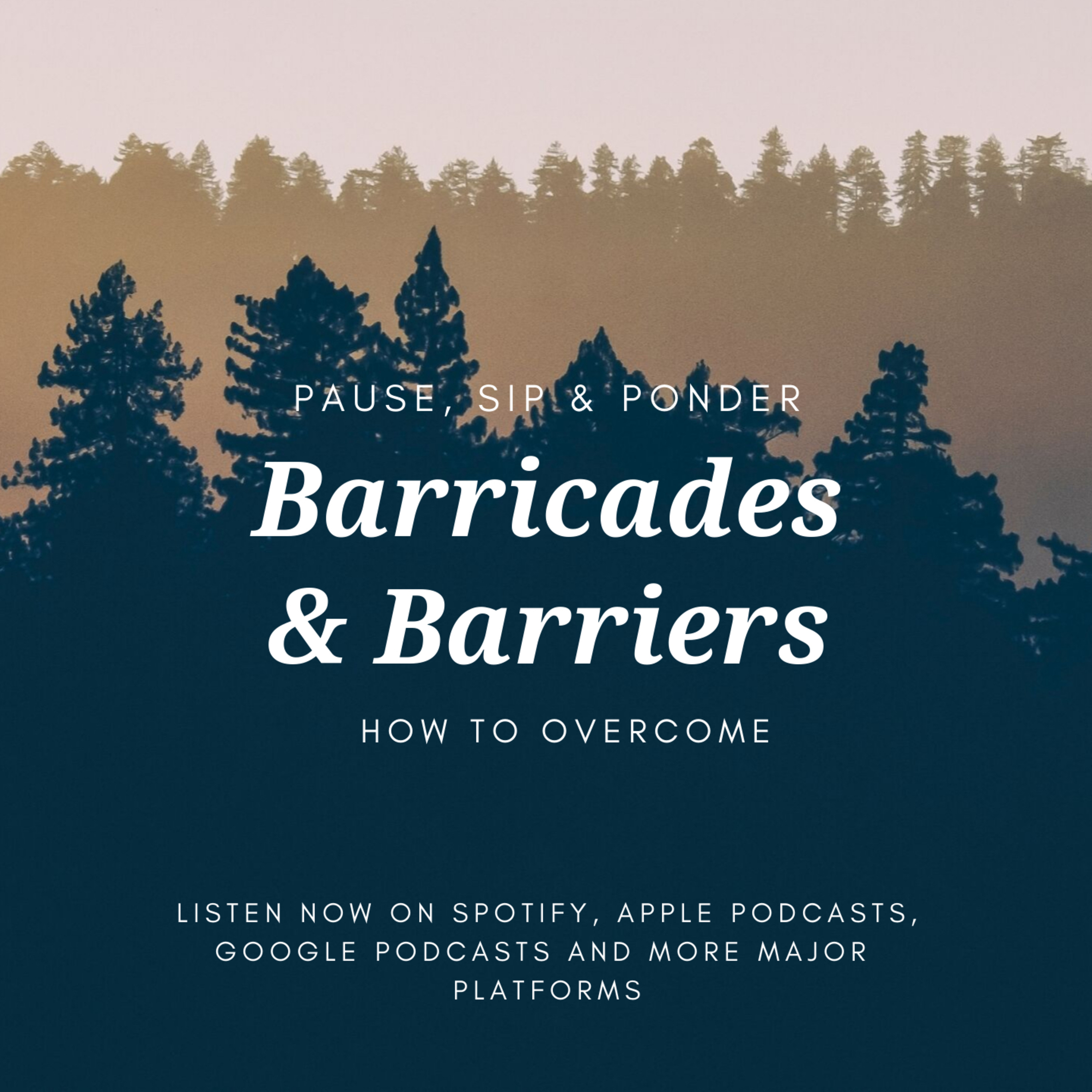 Barricades and Barriers