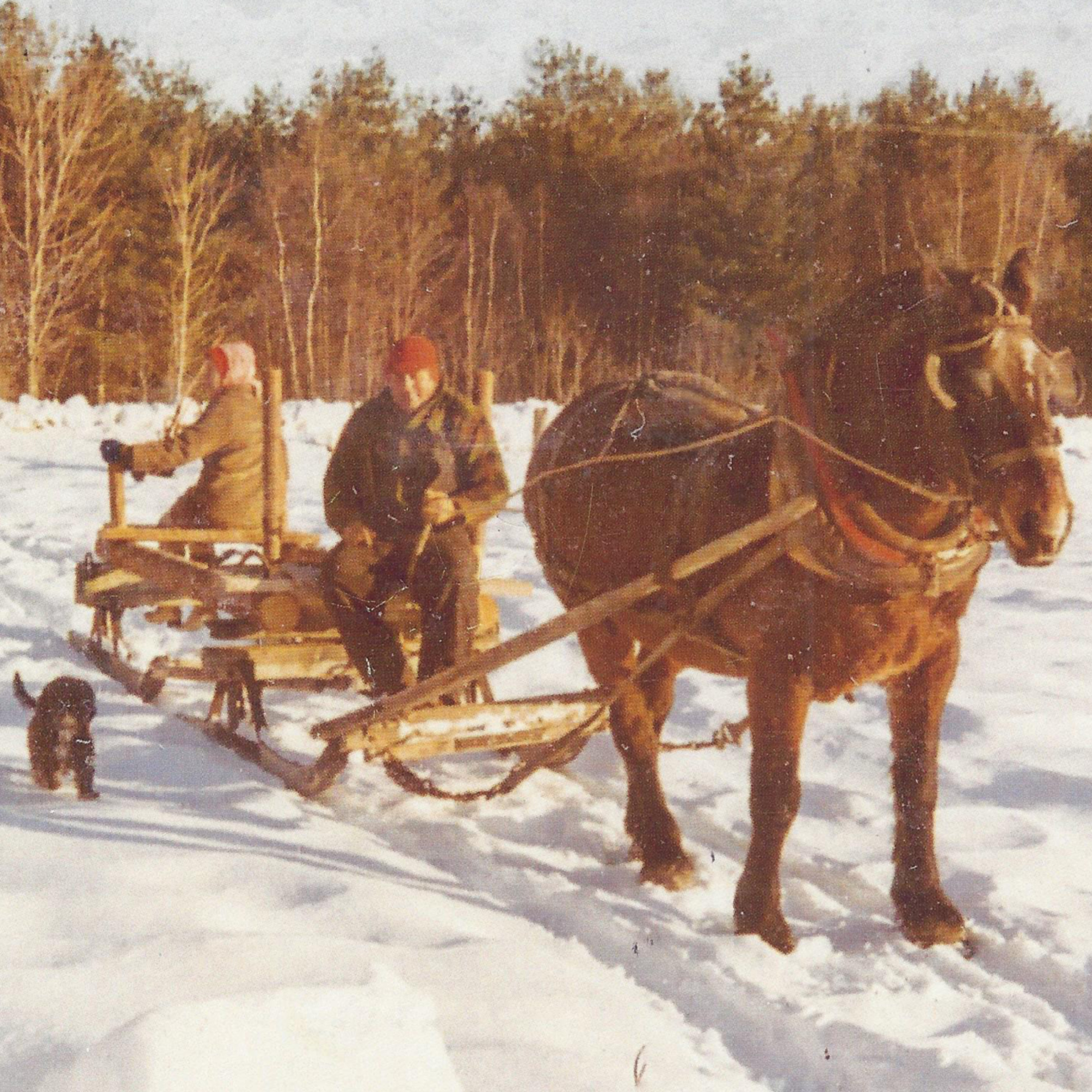The Perry Farm