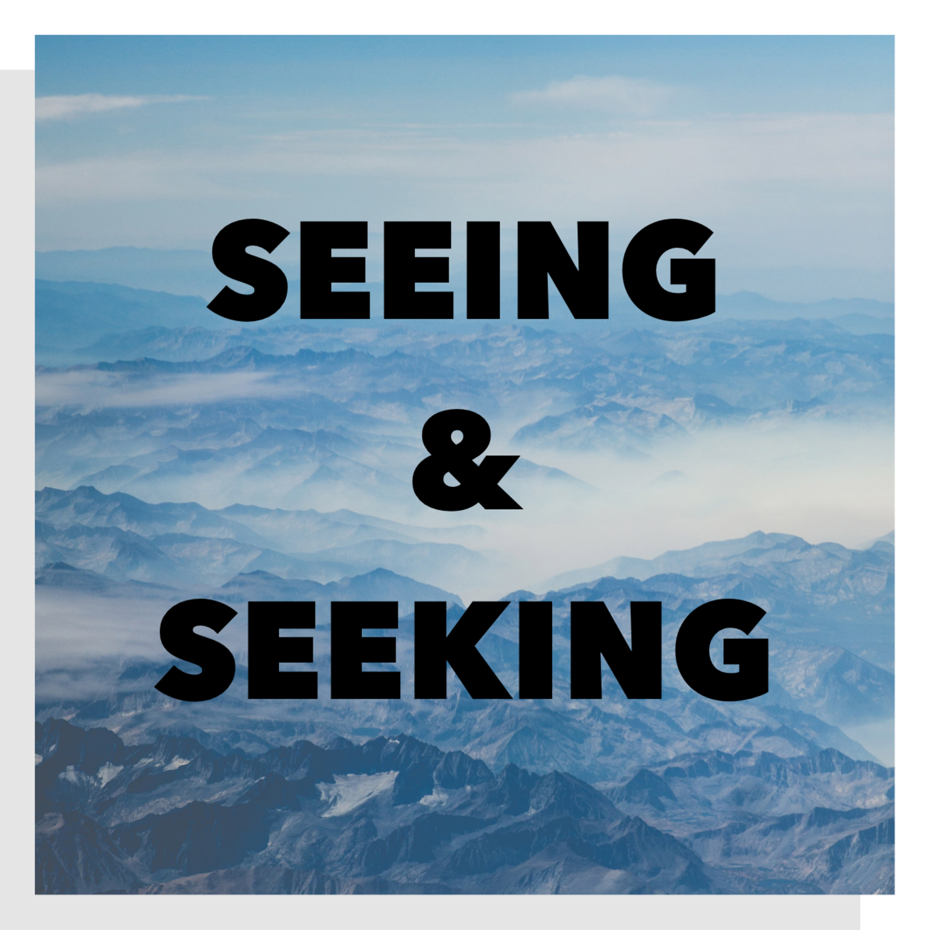 Seeing & Seeking episode artwork