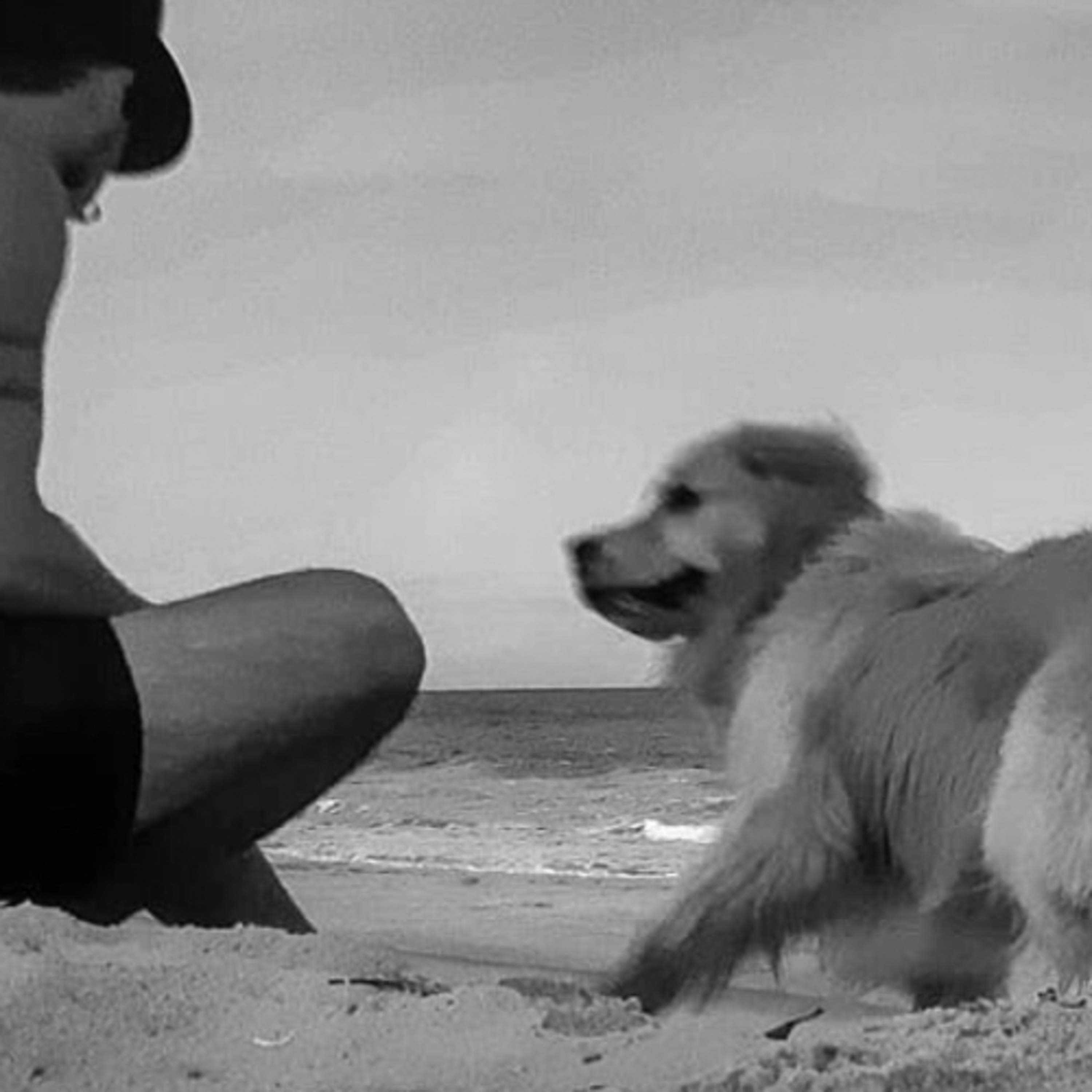 Podcast Guilherme Ãncora