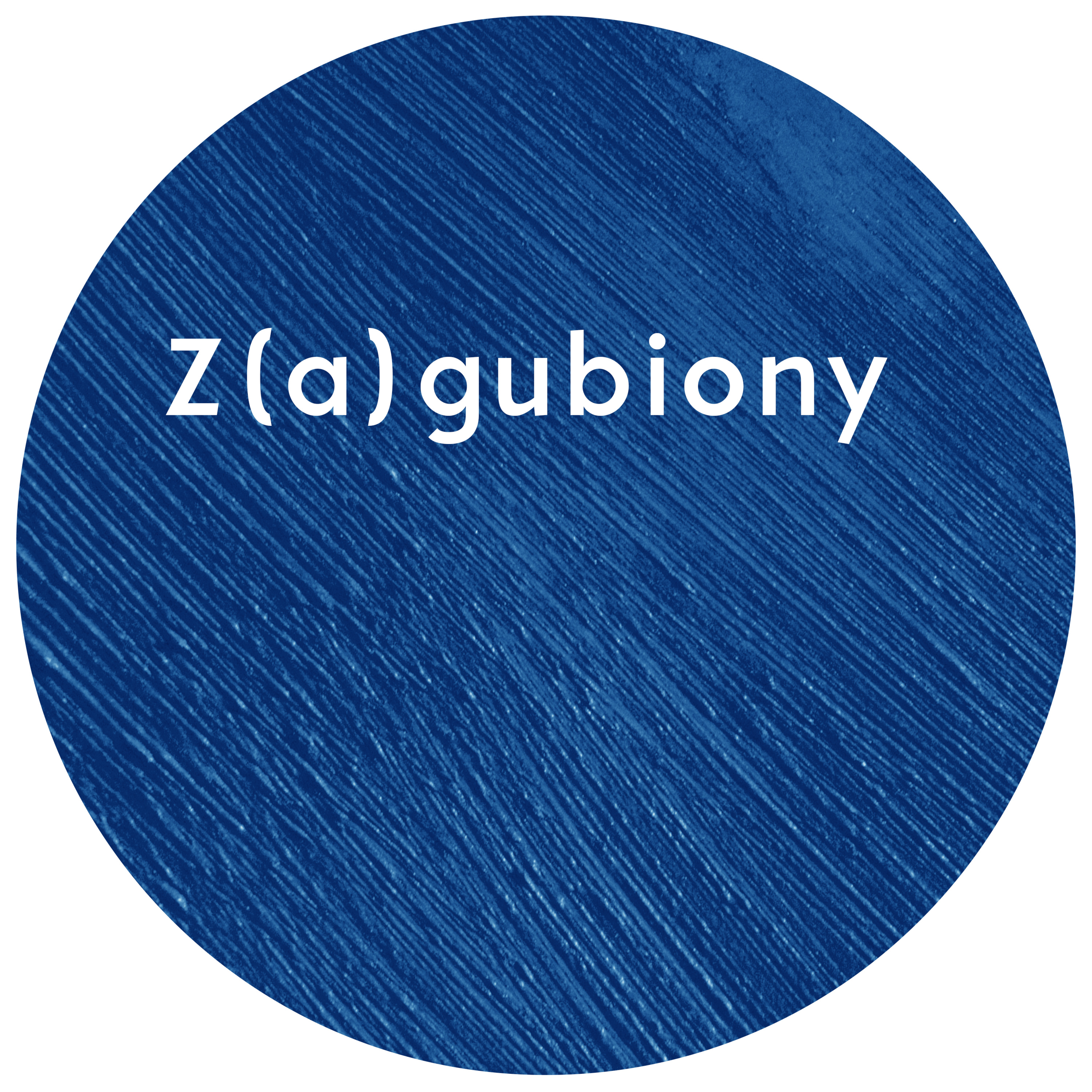 Z(a)gubiony | Wojciech Gajewski | 08.01.2017 episode artwork