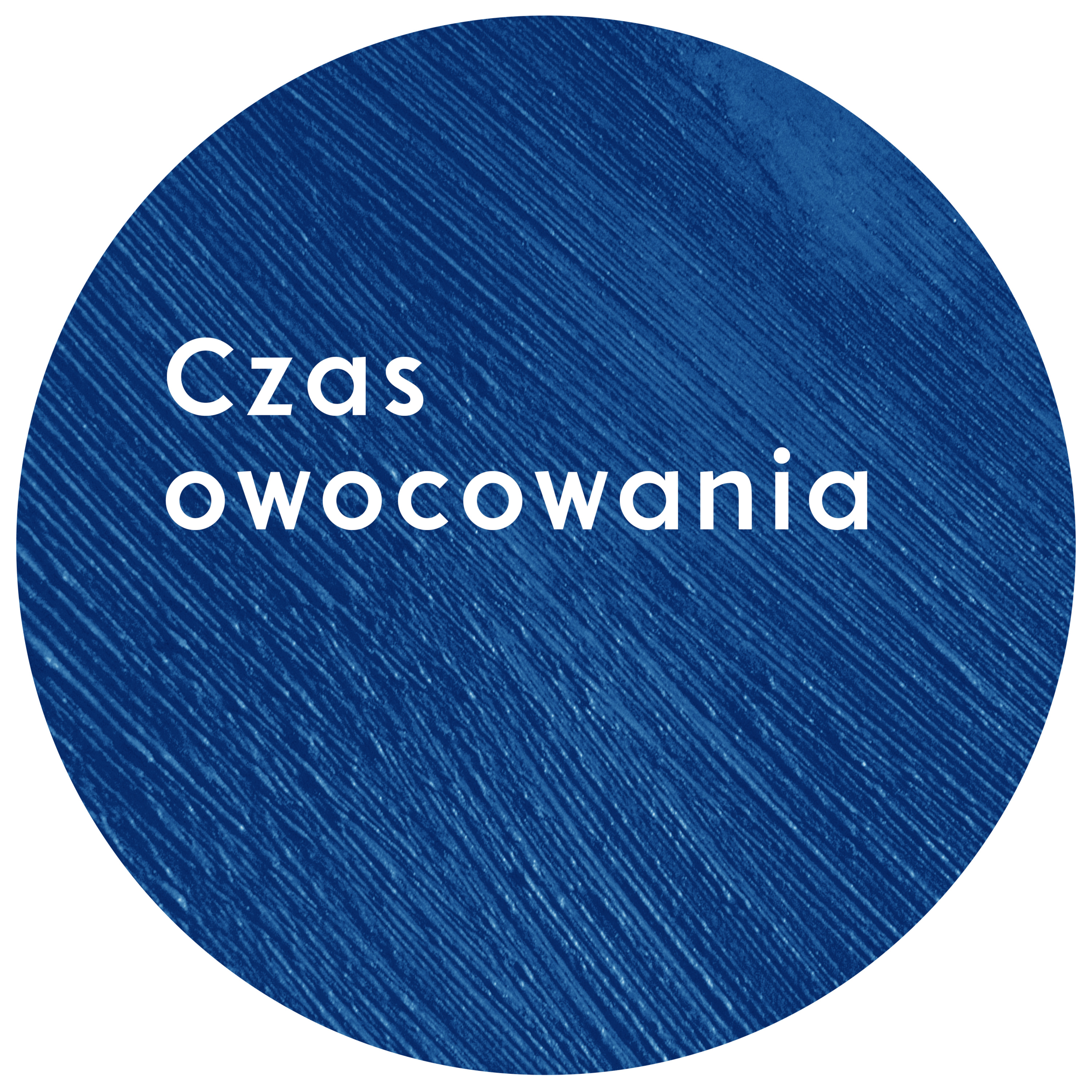 Czas owocowania | Wojciech Gajewski | 26.02.2017 episode artwork