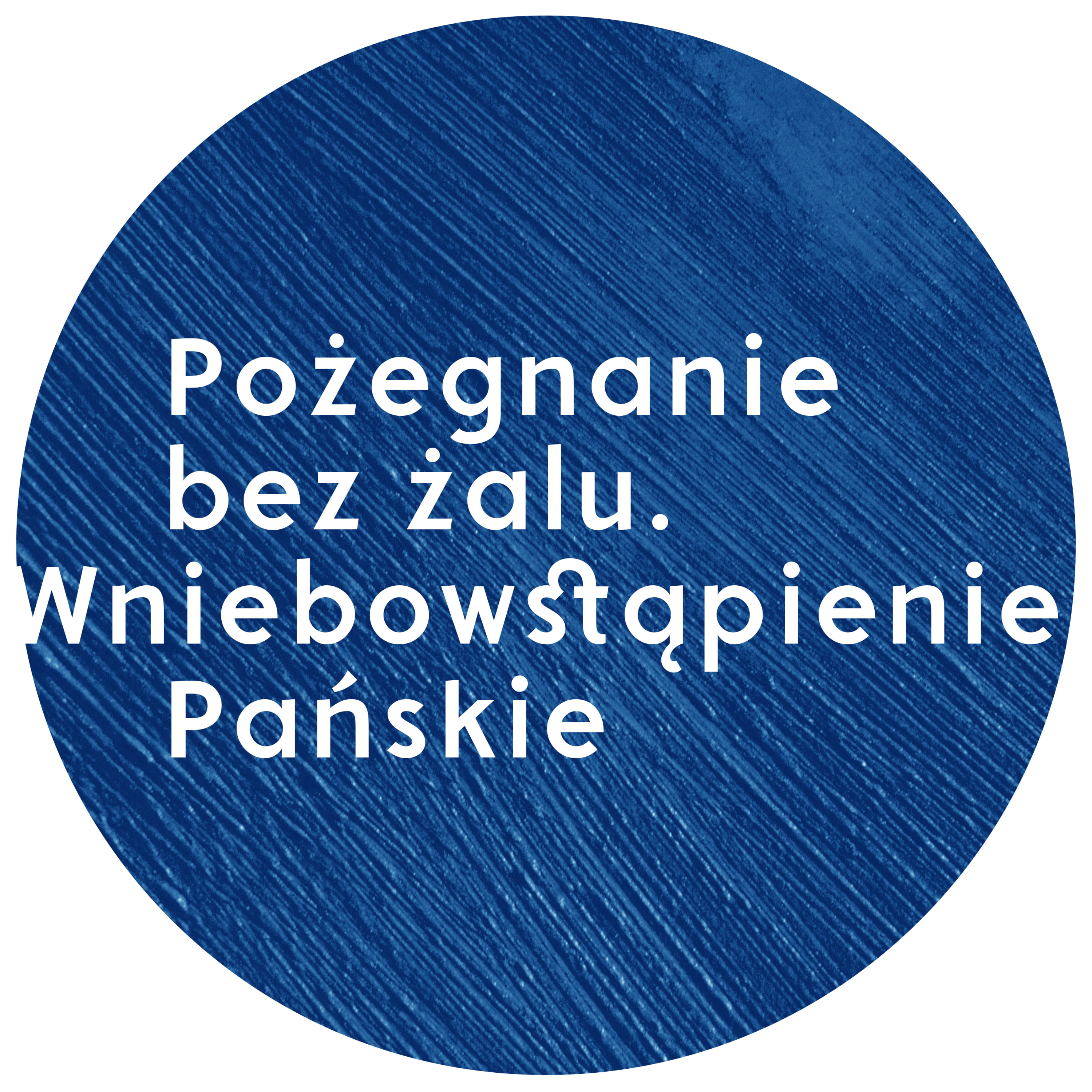 Pożegnanie bez żalu. Wniebowstąpienie Pańskie | Wojciech Gajewski | 28.05.2017 episode artwork