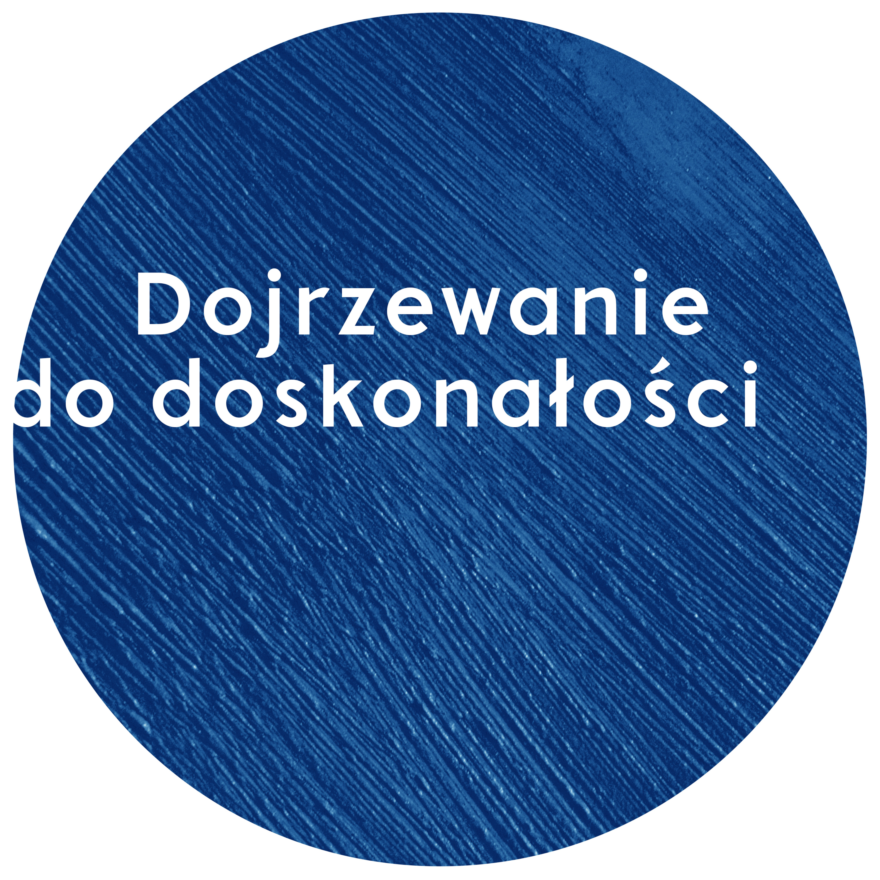 Dojrzewanie do doskonałości | Wojciech Gajewski | 25.06.2017 episode artwork
