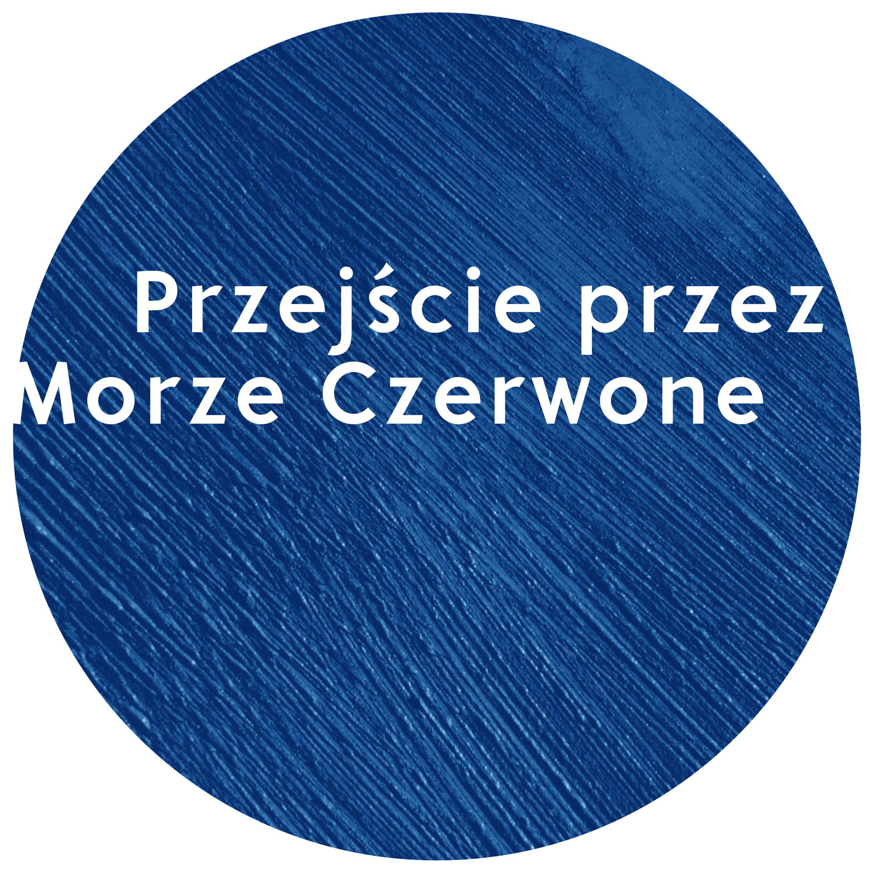 Przejście przez Morze Czerwone | Wojciech Gajewski | 20.08.2017 episode artwork