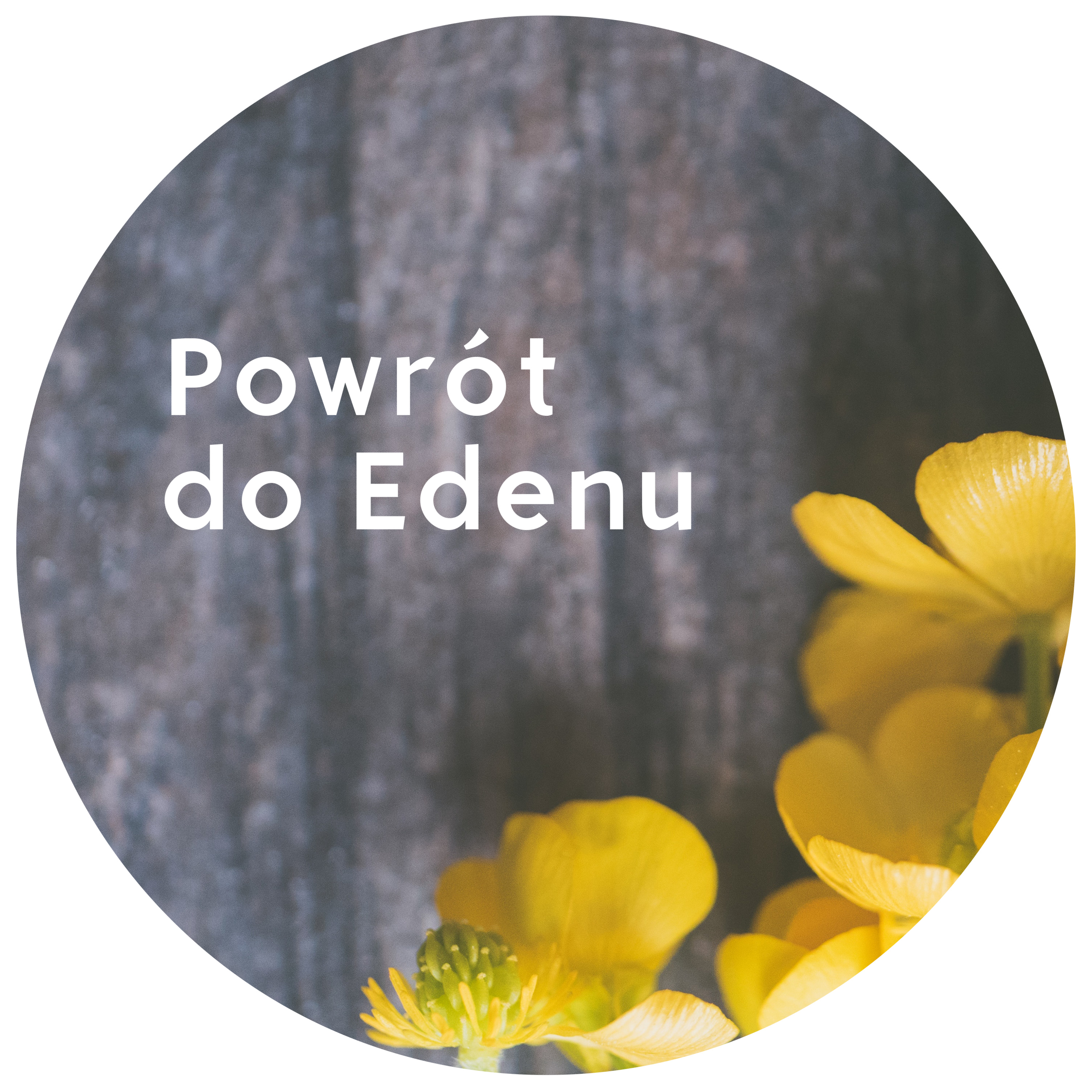 Powrót do Edenu | Przemysław Paćko | 11.02.2018 episode artwork