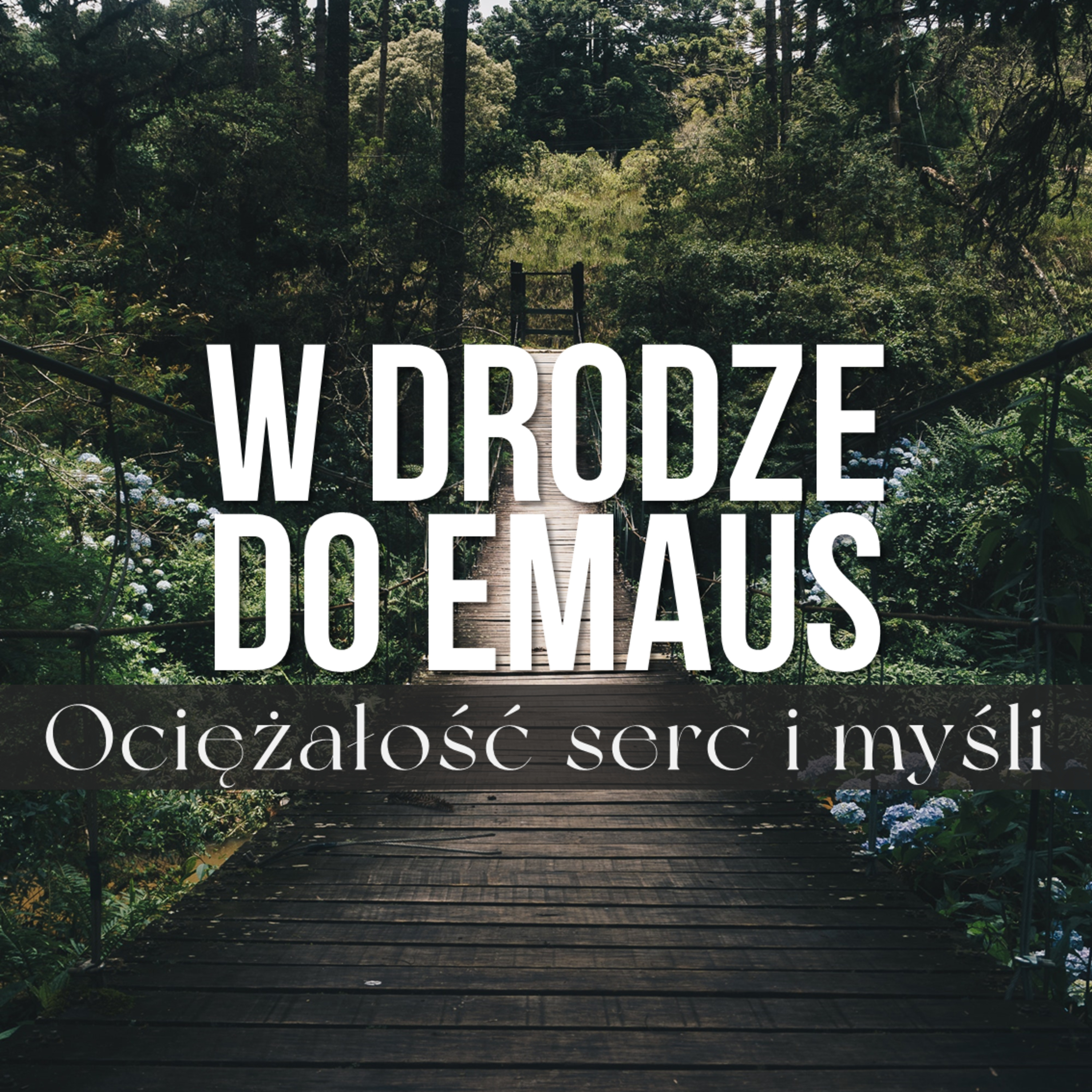 W drodze do Emaus. Inspiracje (4/5) Ociężałość serc i myśli | Wojciech Gajewski | 26.05.2019 episode artwork