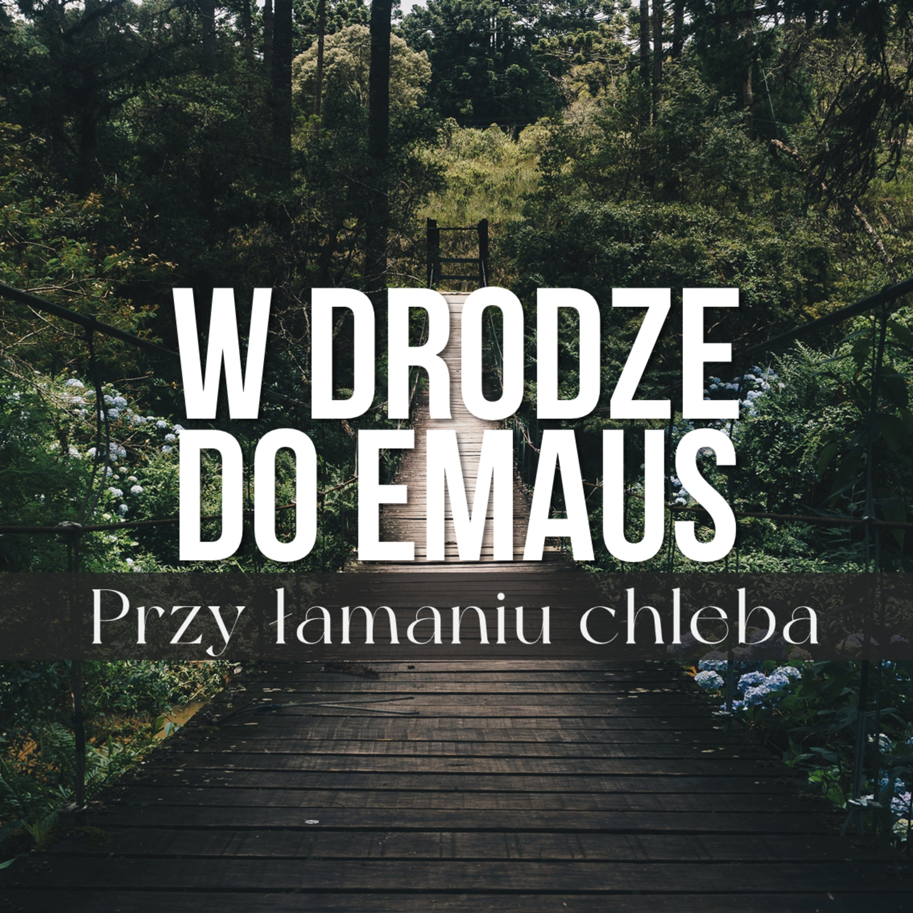 W drodze do Emaus. Inspiracje (5/5) Przy łamaniu chleba | Wojciech Gajewski | 02.06.2019 episode artwork