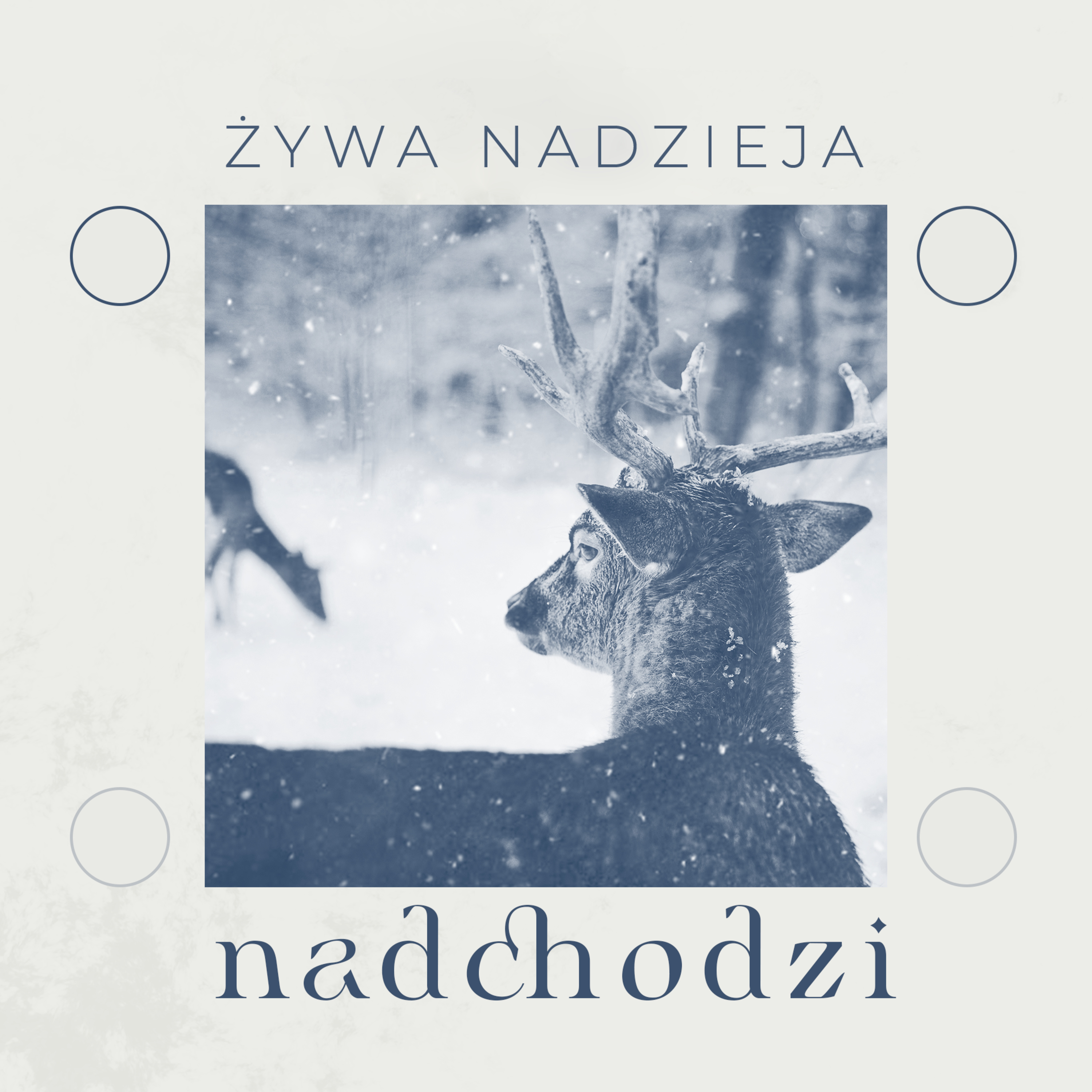 Żywa nadzieja | Wojciech Gajewski | 05.12.2021 episode artwork