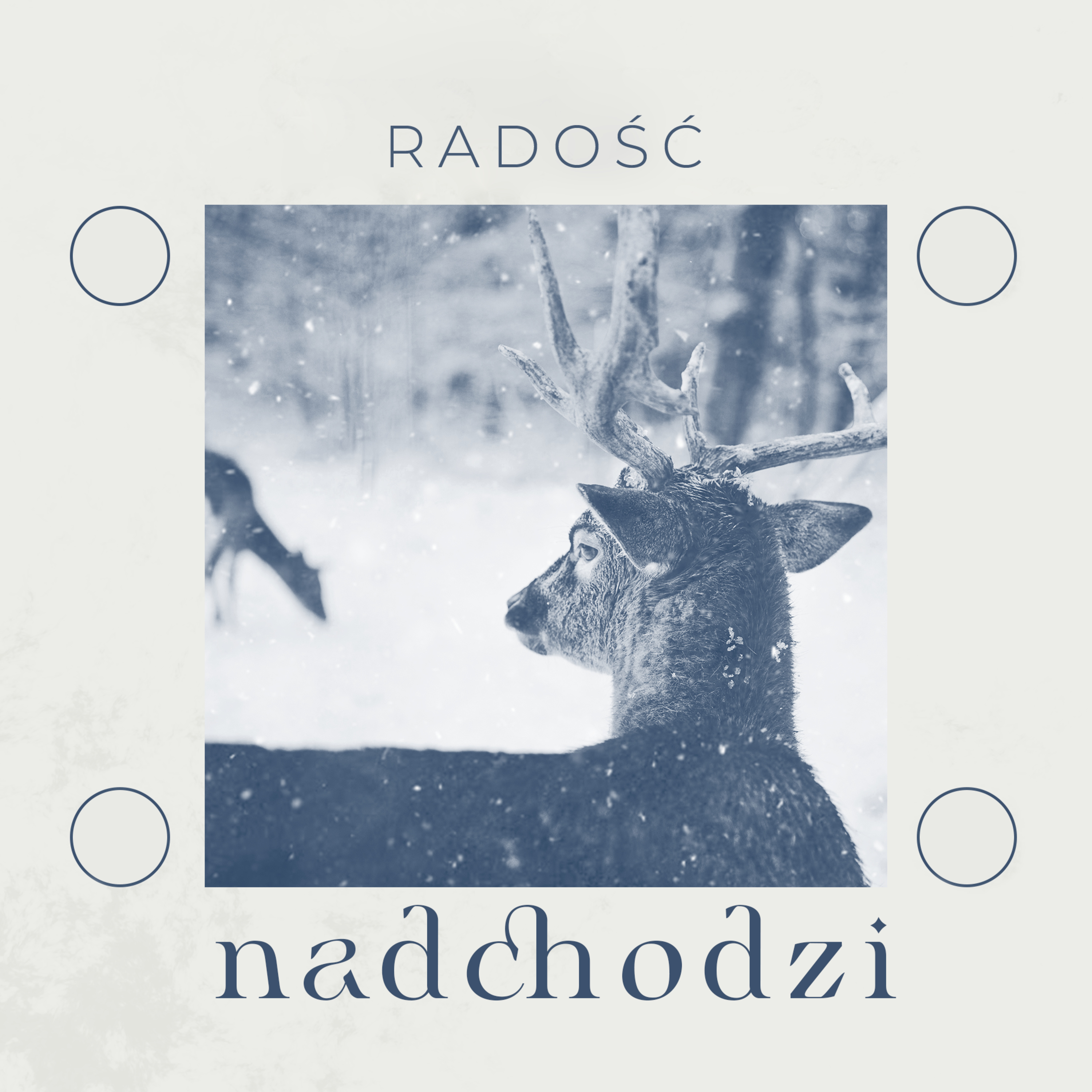 Radość | Wojciech Gajewski | 19.12.2021 episode artwork