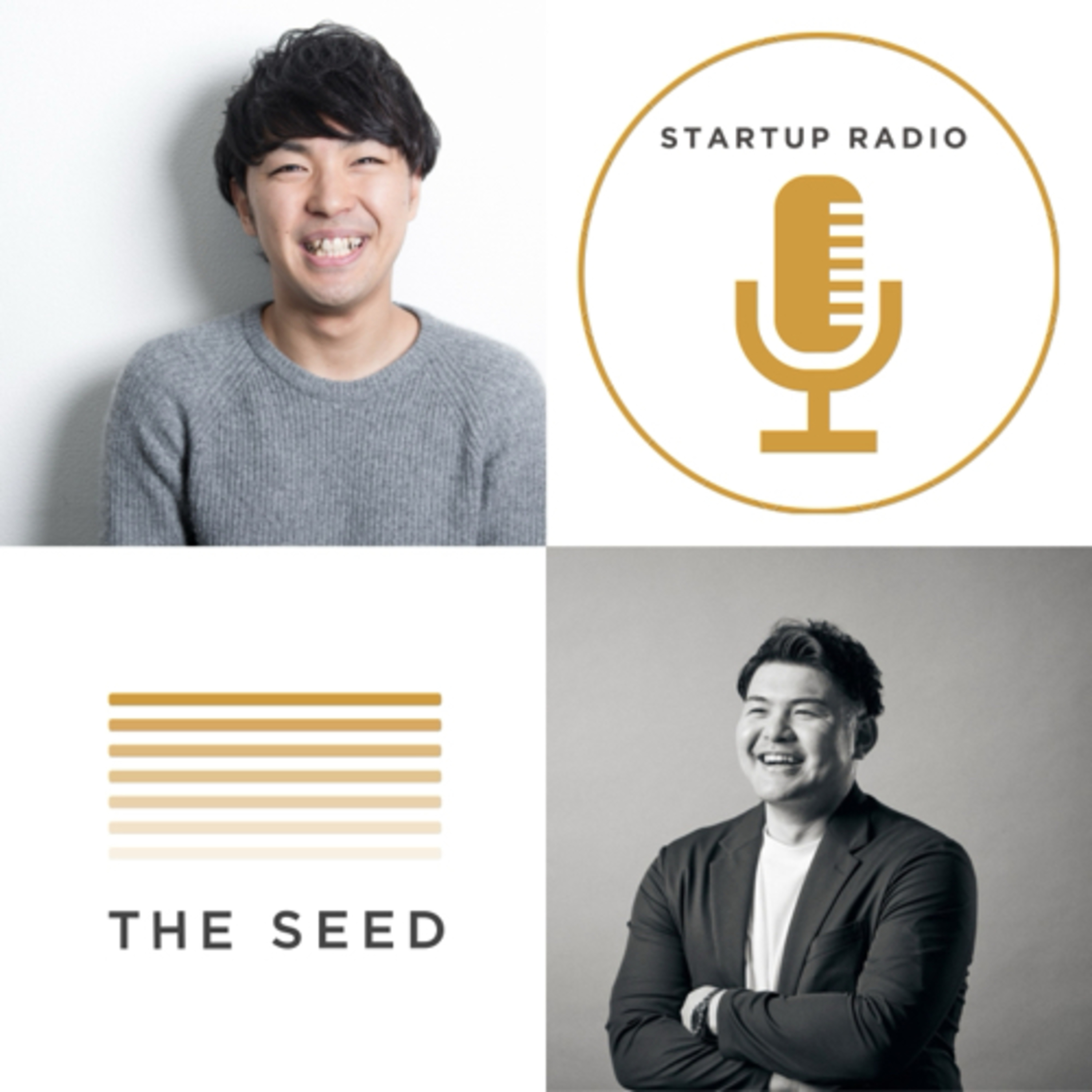 THE SEEDの投資検討プロセスと投資後の支援について