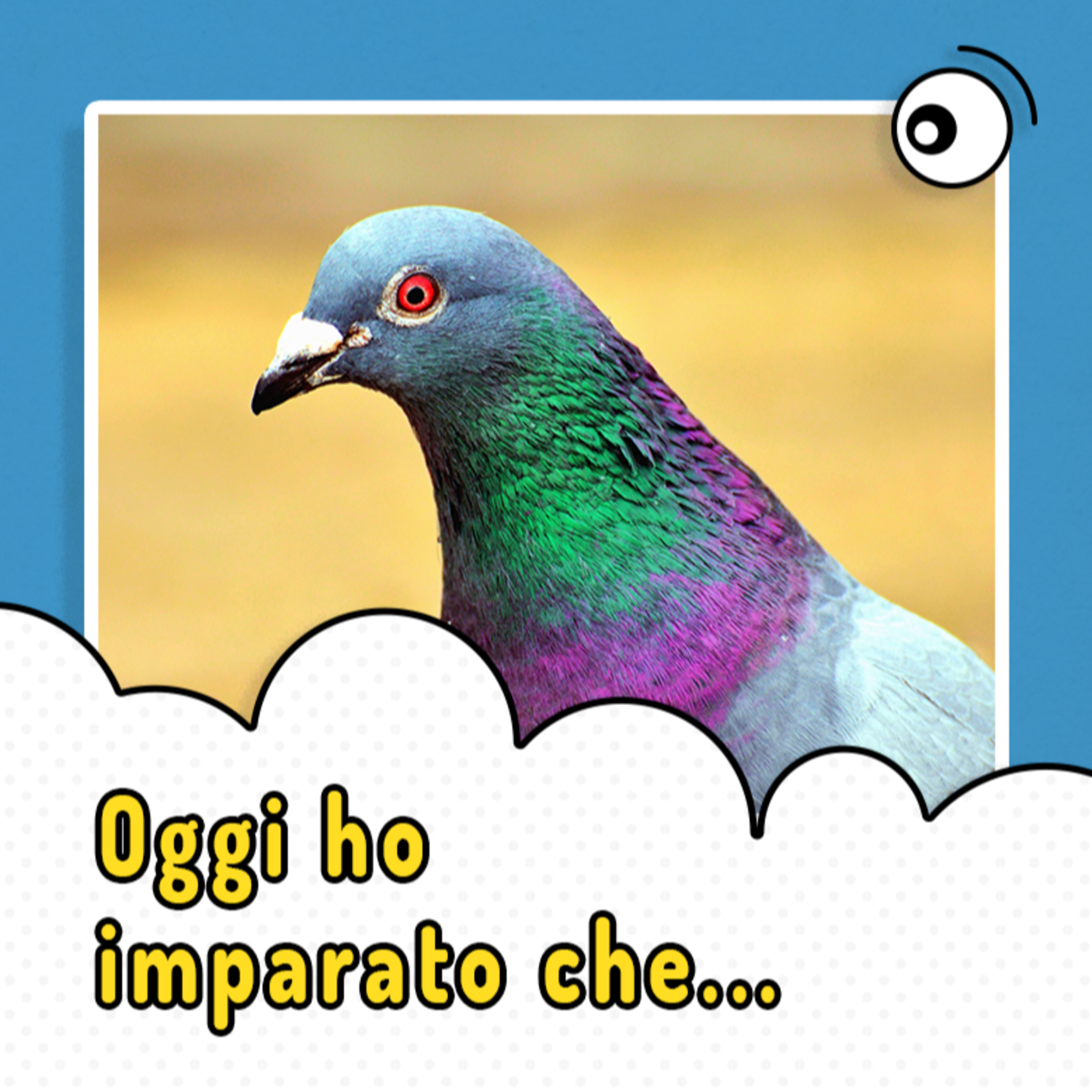 Oggi ho imparato che