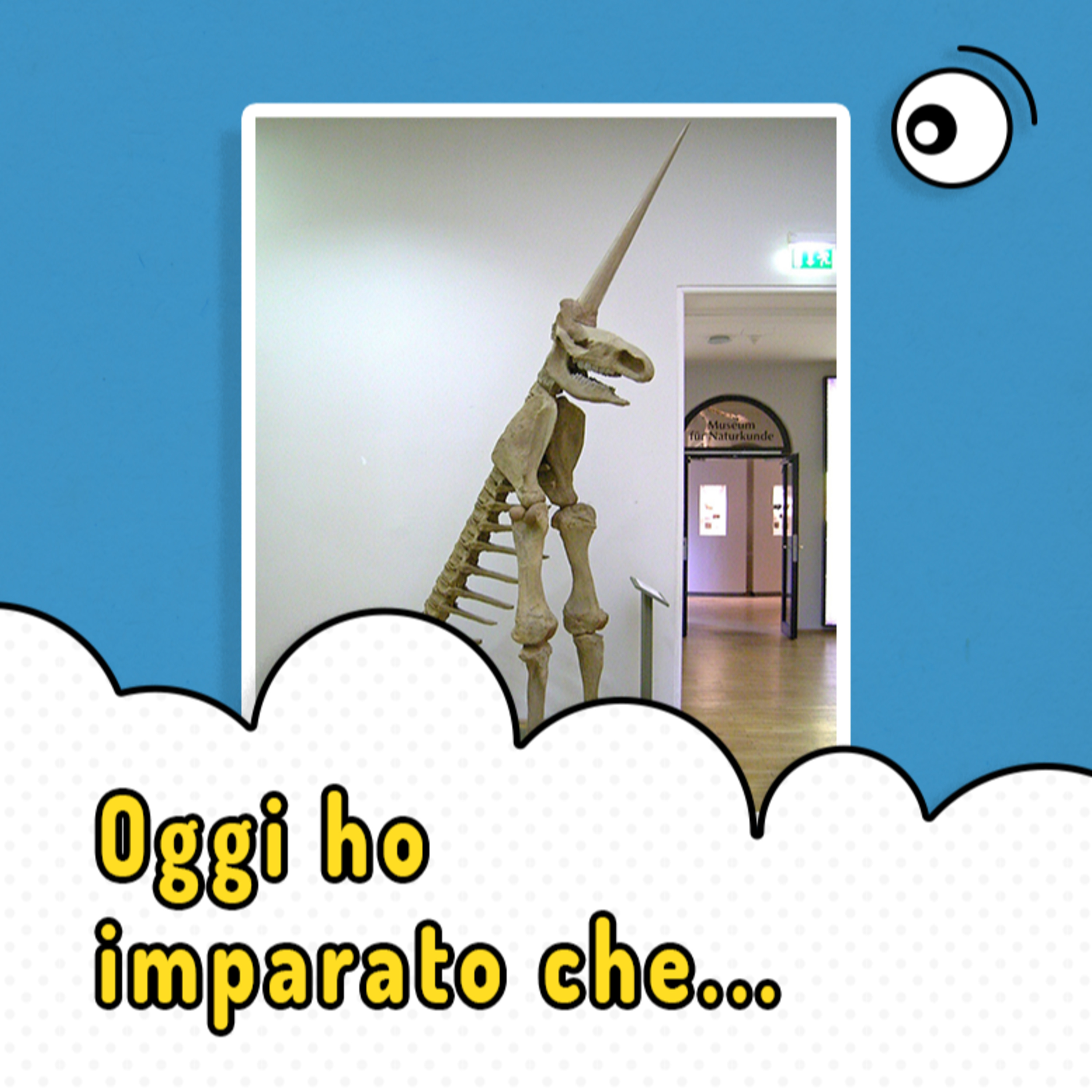 Oggi ho imparato che