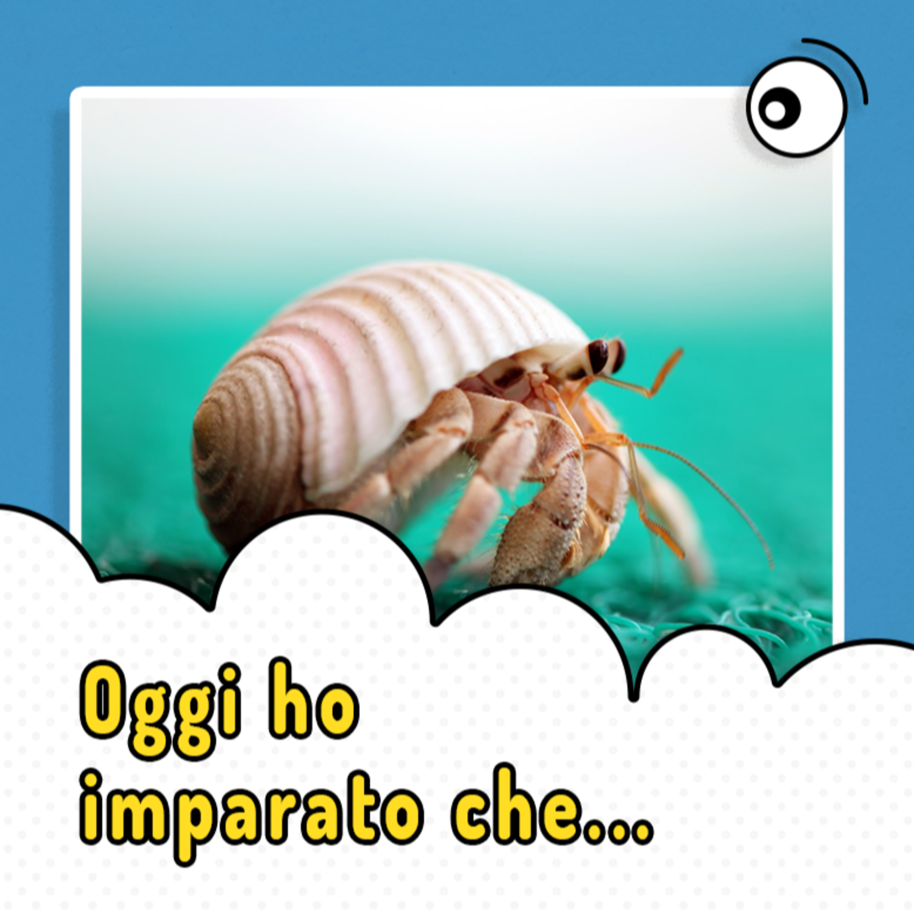 Oggi ho imparato che