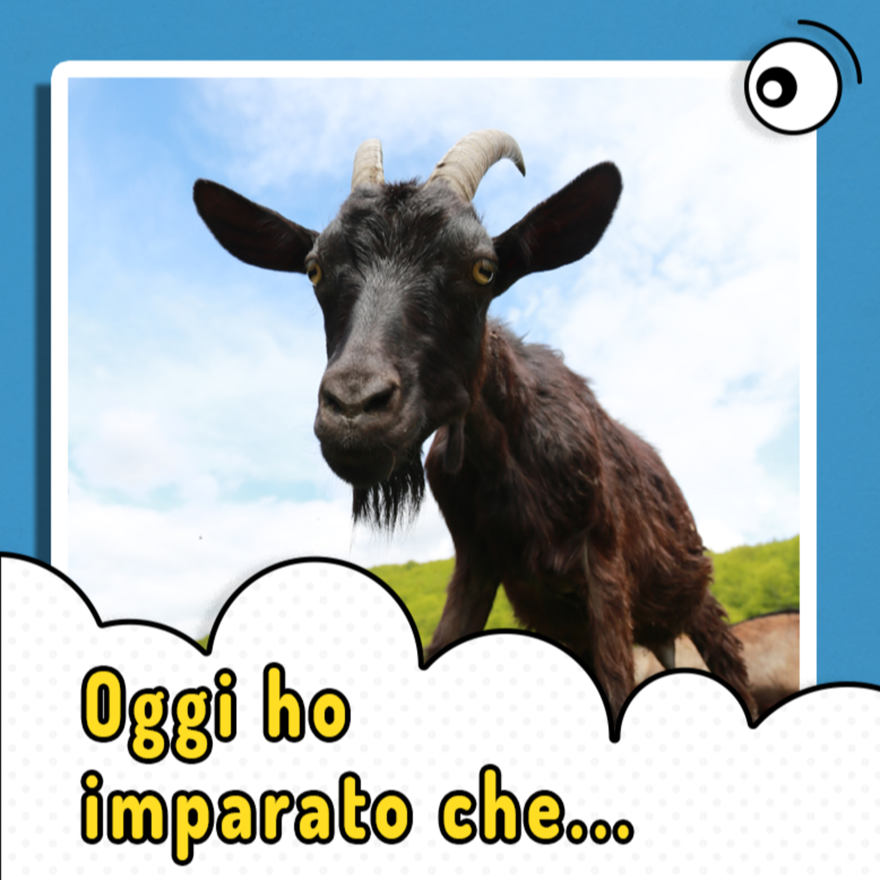Oggi ho imparato che