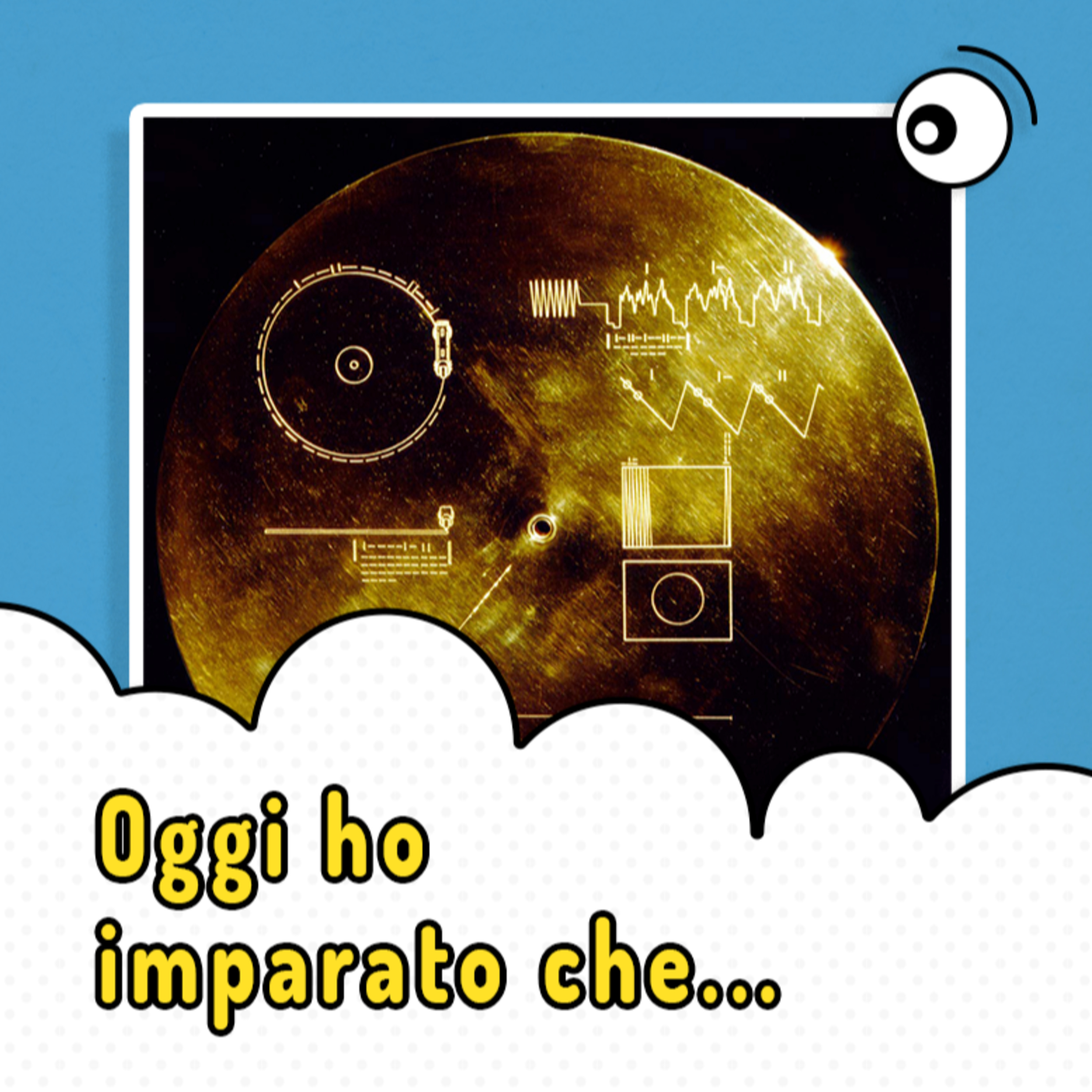 Oggi ho imparato che