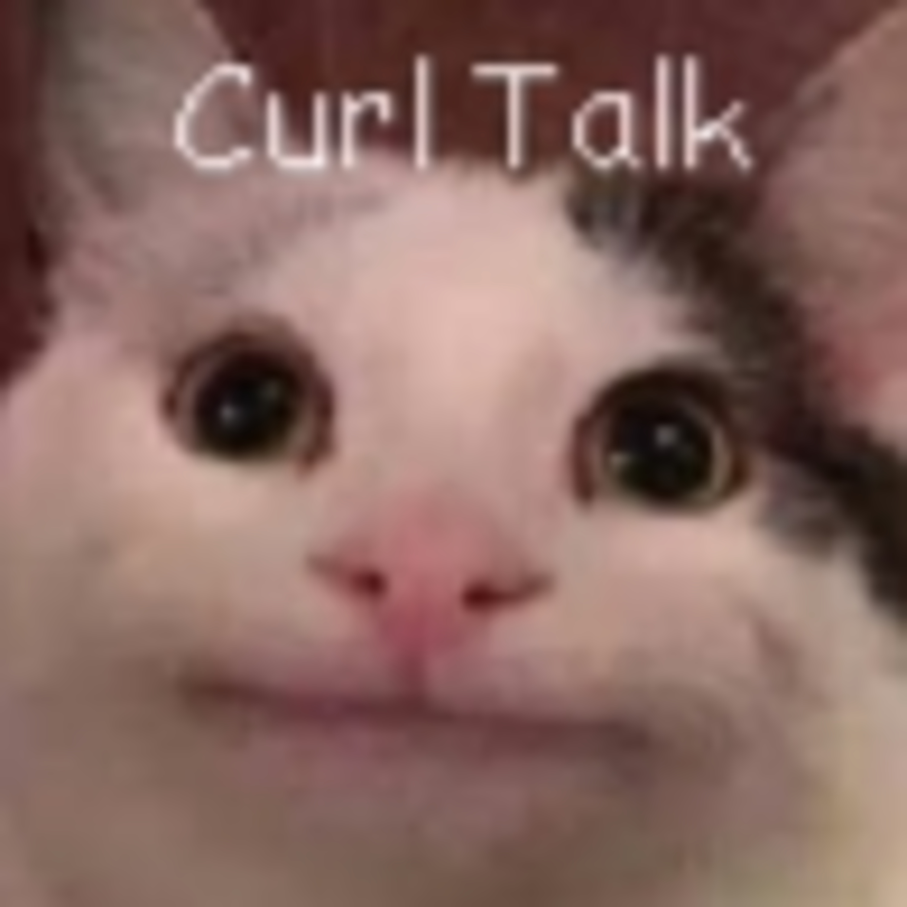 Curl Talk