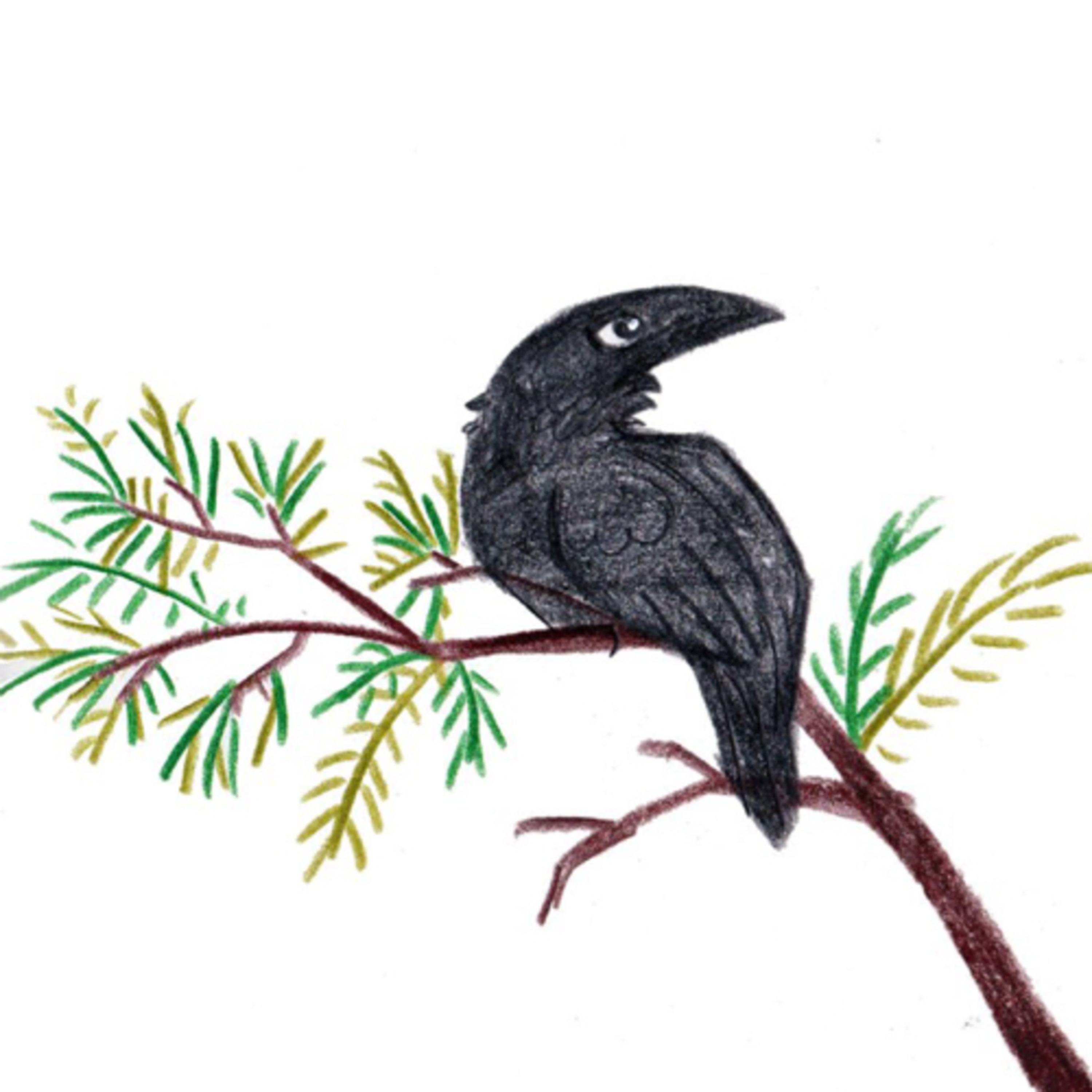 Quoth the Crow: “Kaw, kaw!”