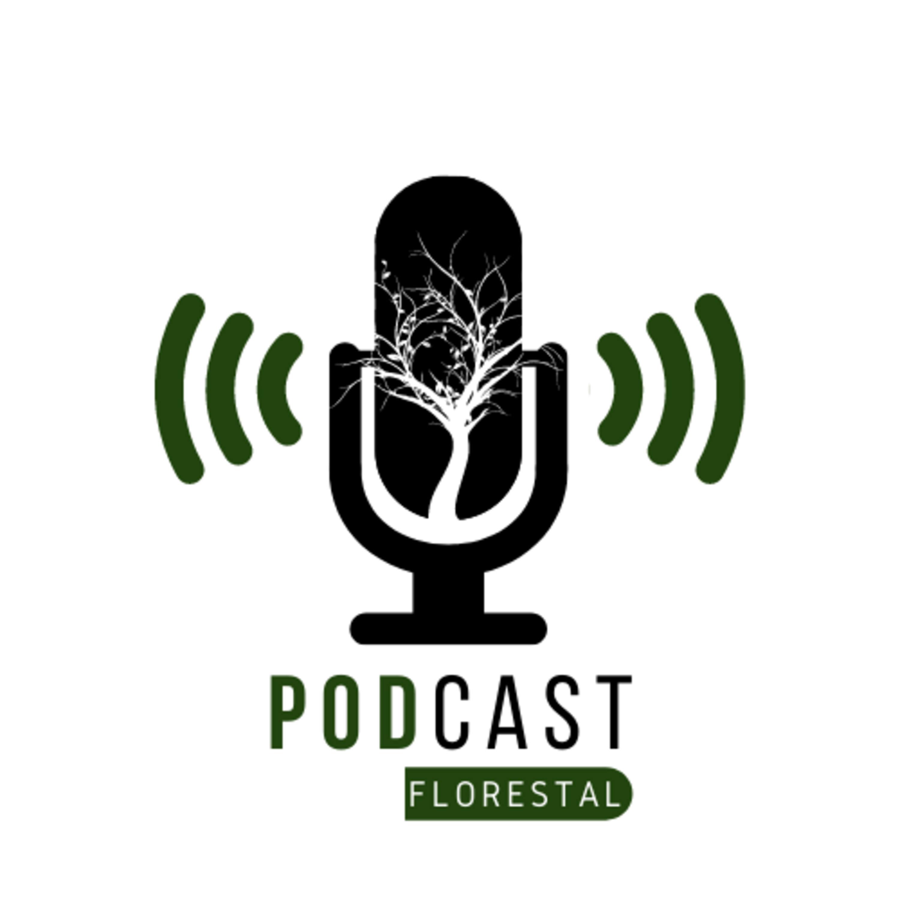 Caminhos da Floresta